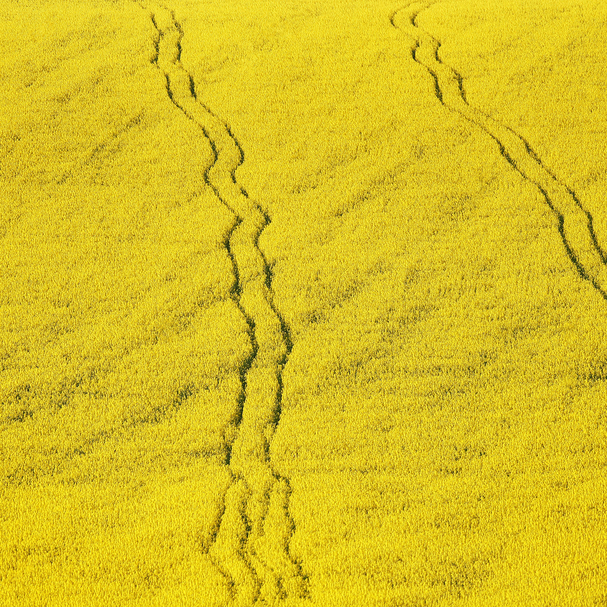 Текстуры — природа. Яркие фото на Чёрном море