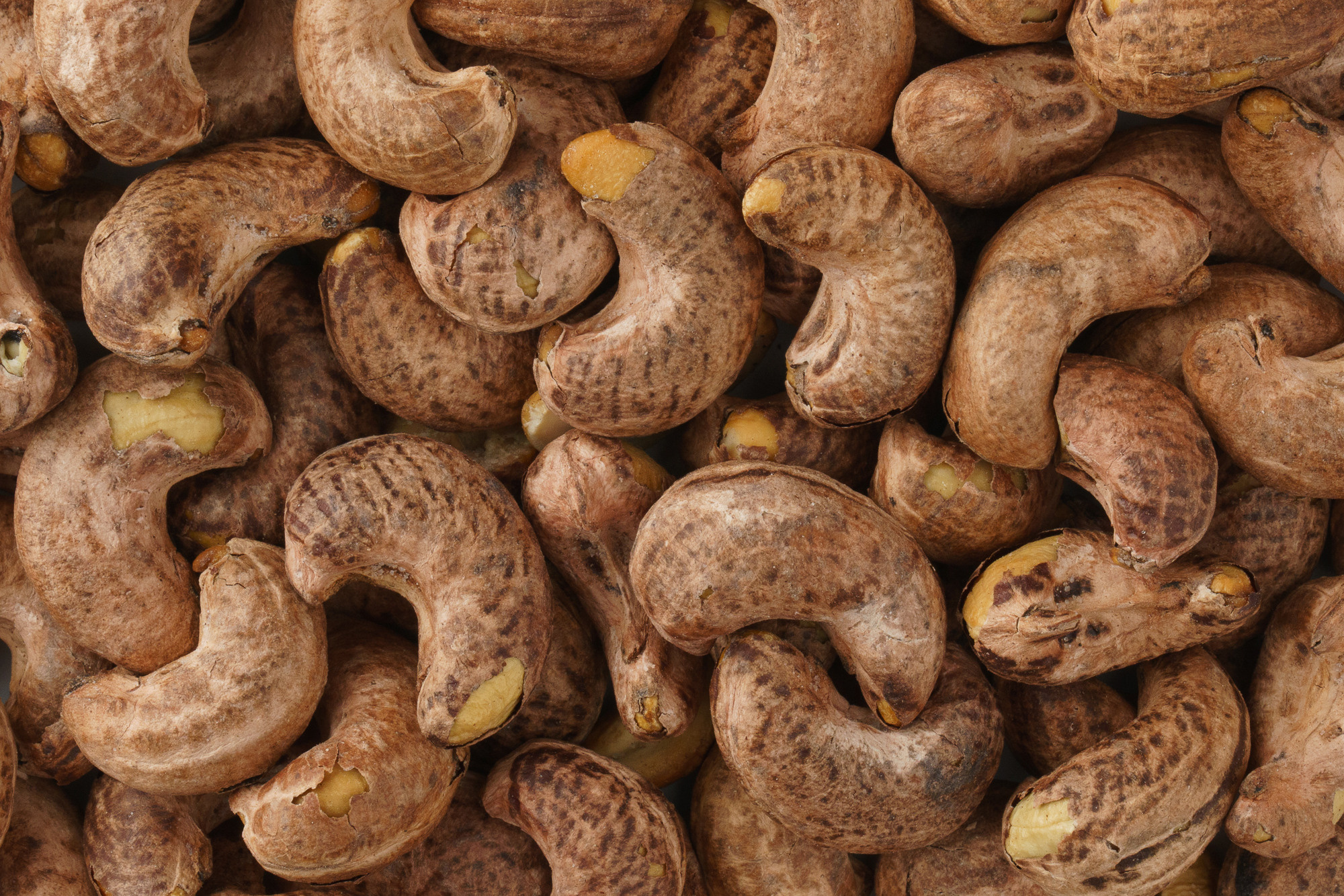 Квадрат. Фуд-фото и съёмка интерьеров в Москве