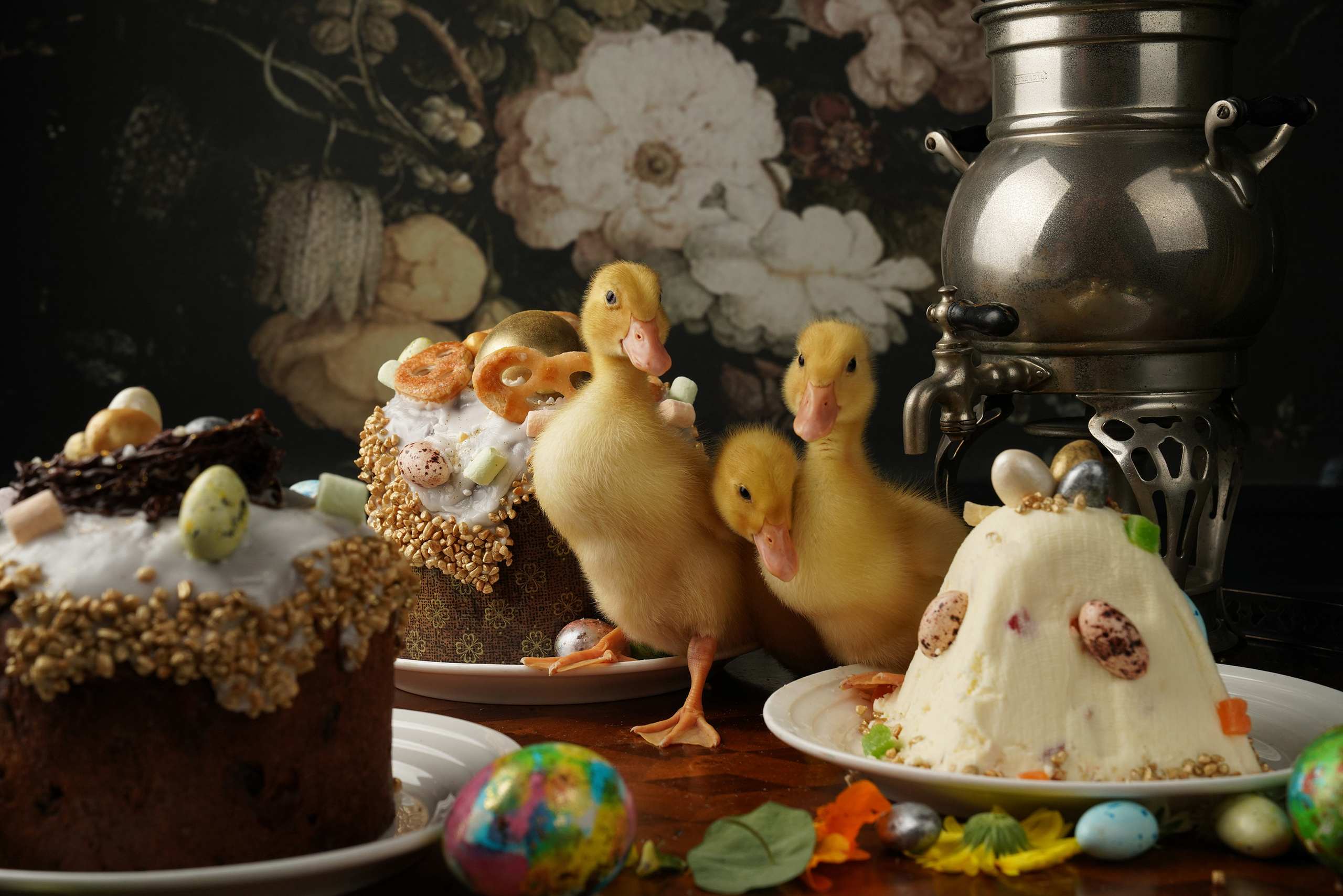 Воронеж. Фуд-фото и съёмка интерьеров в Москве