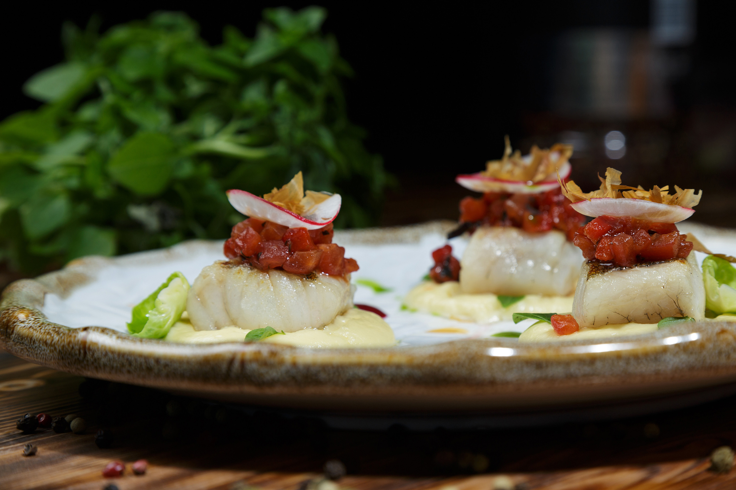 Судак. Фуд-фото и съёмка интерьеров в Москве