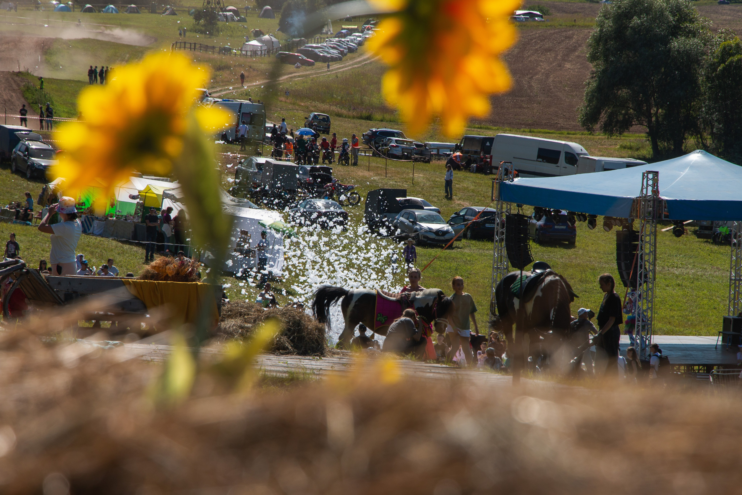 Конь-огонь 2025. Олег Романов. Мастер фото по спорту