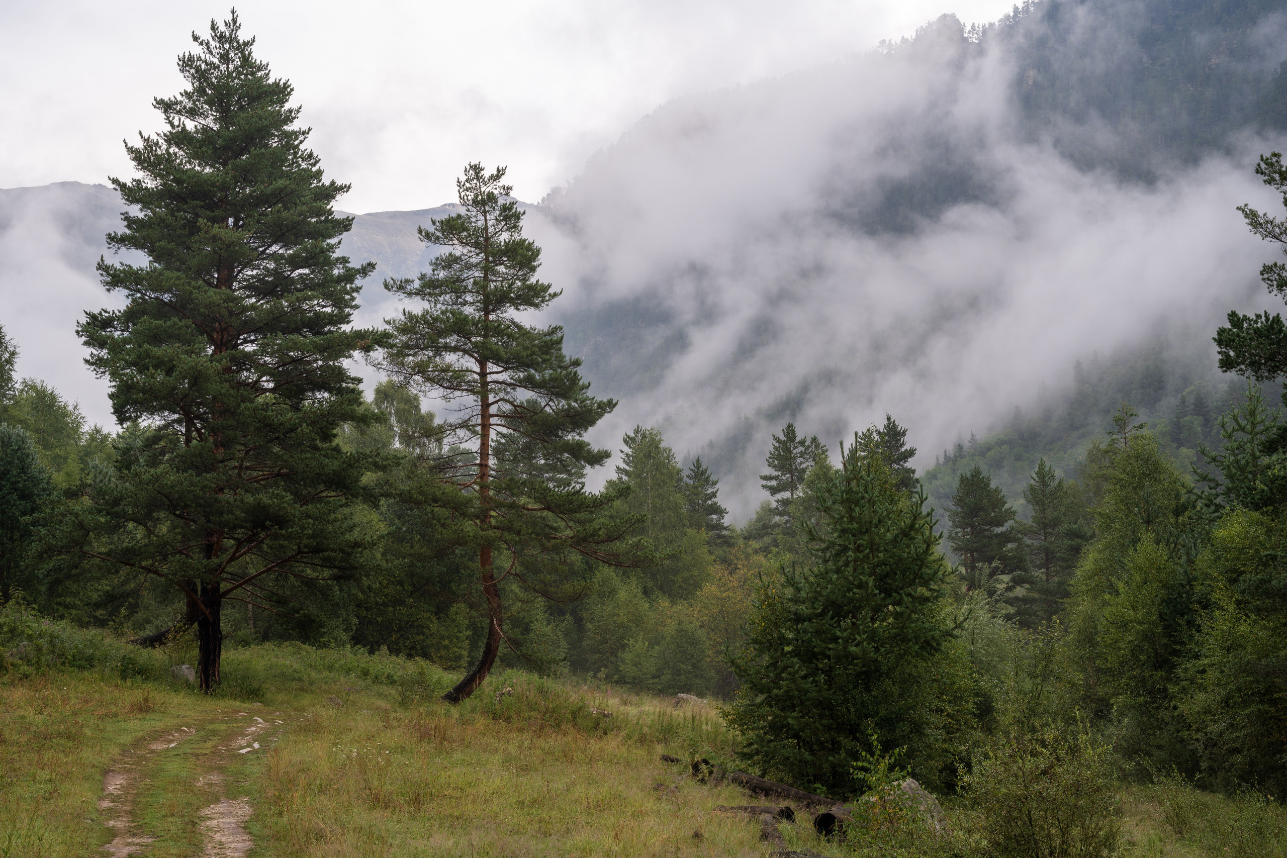 Экспедиция 2025