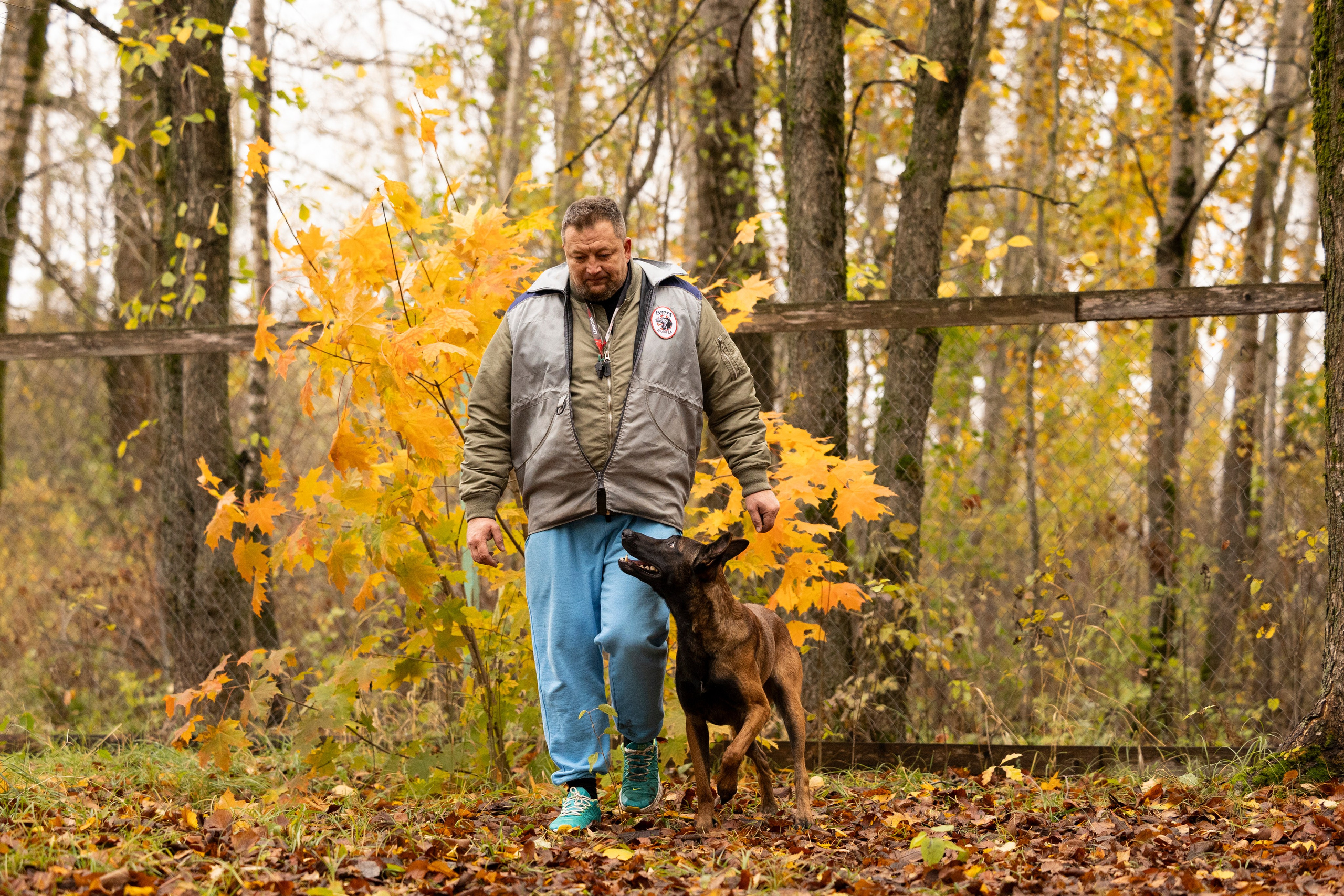 Соревнования по Мондьорингу г. Вологда. Фотограф-анималист Анна Маринич