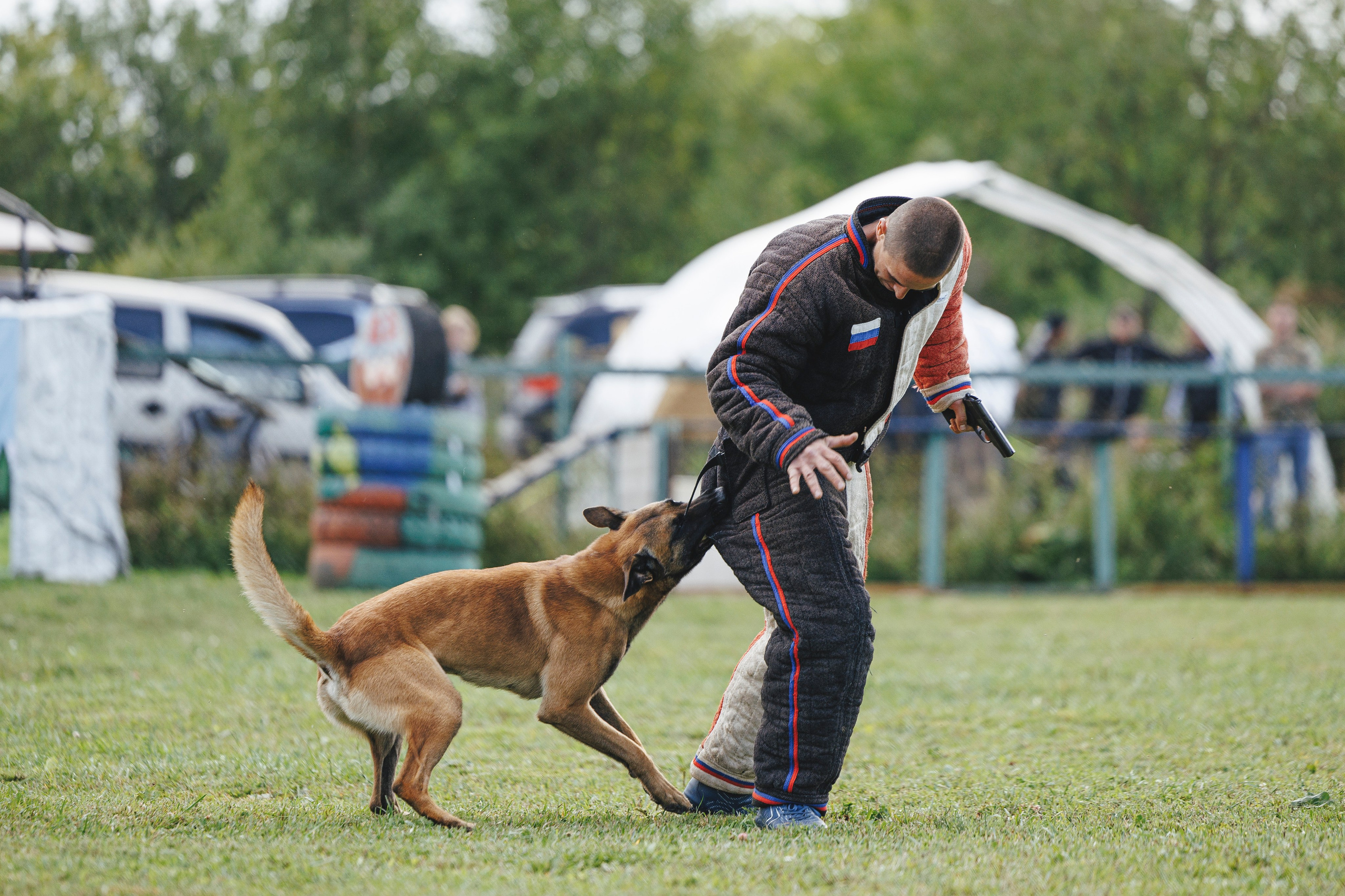 08.08.25-10.08.25 ЧР по мондьорингу г. Вологда. Фотограф-анималист Анна Маринич