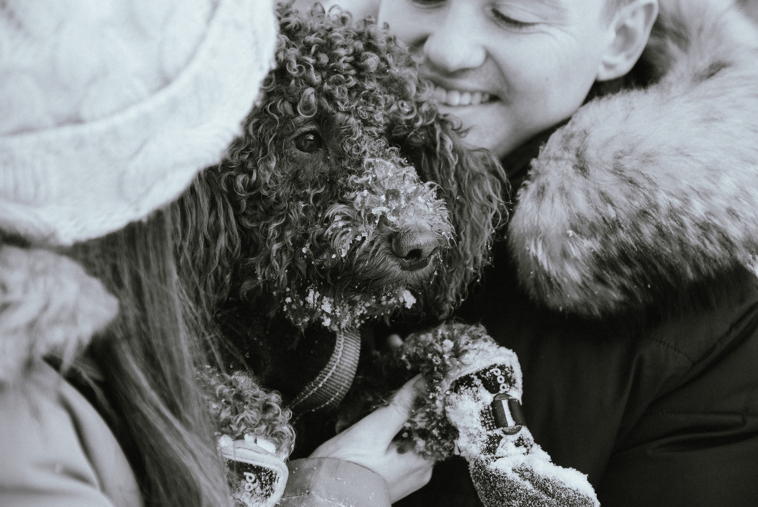 Зоопарк в моём багаже. Кошенкова Мария: портретный и репортажный фотограф. Санкт-Петербург
