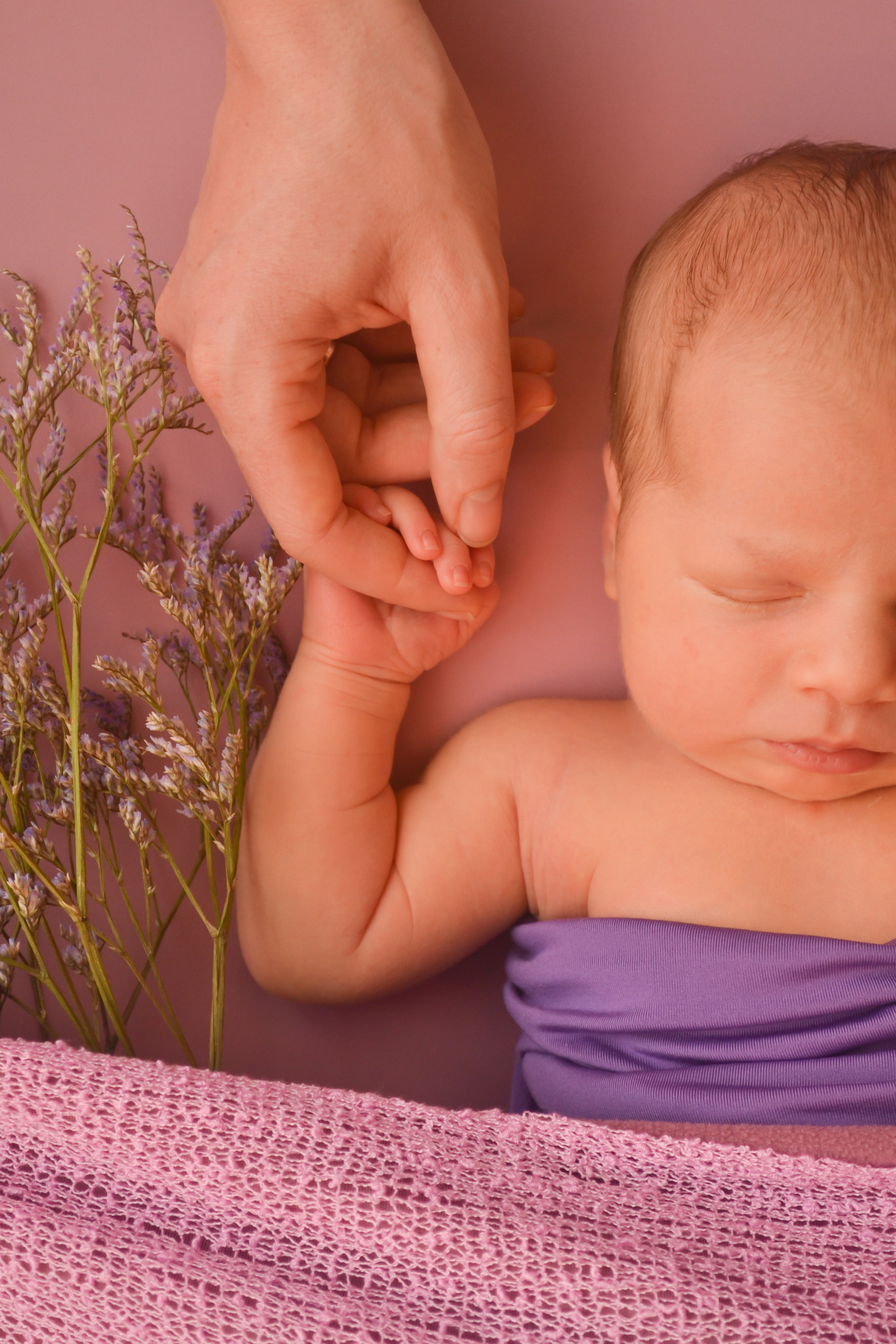 Newborn. Photograper Israel/фотограф Израиль. ALINA TARAN