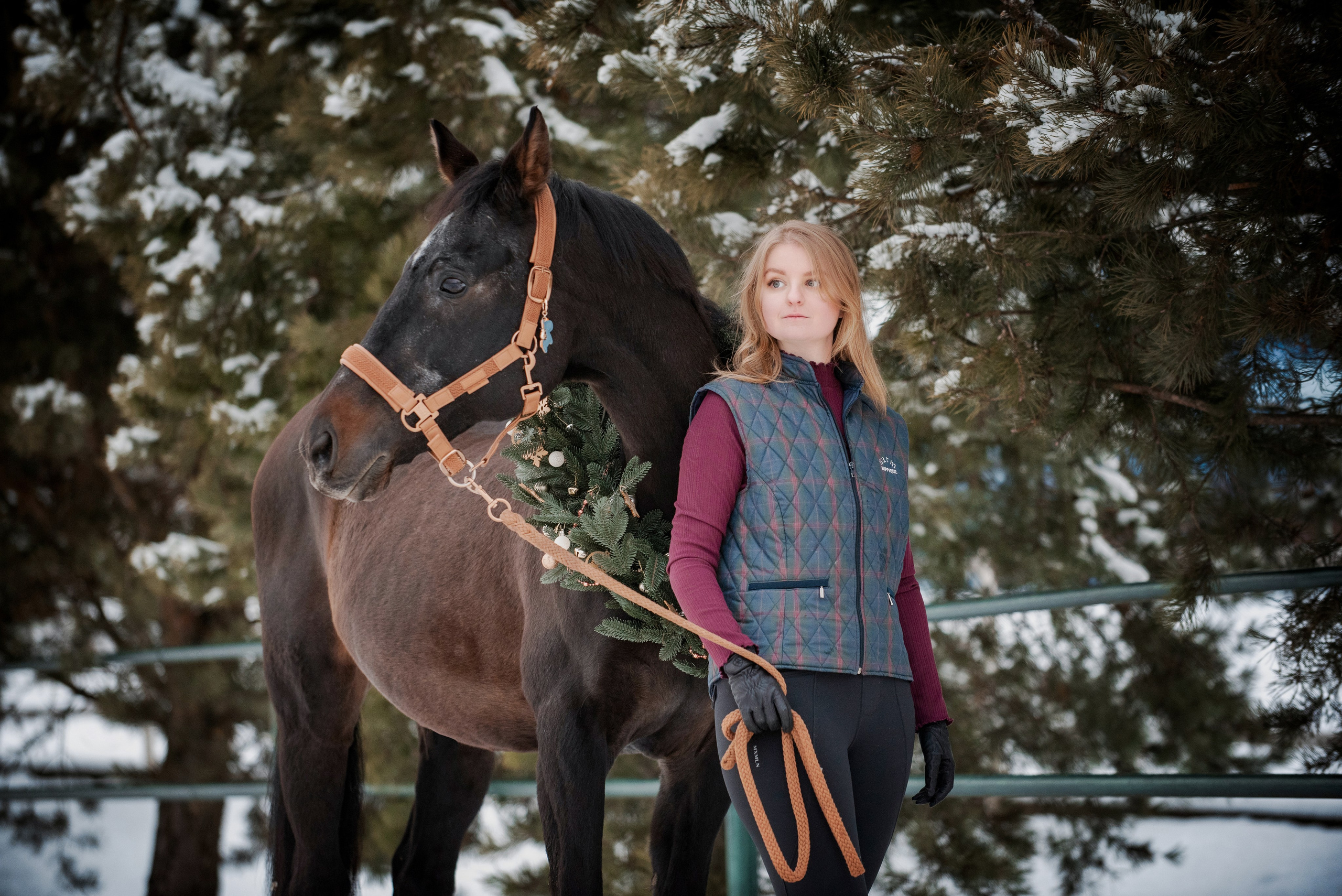 Зимний Настасьин табун. Куракина Дарья • Конный фотограф