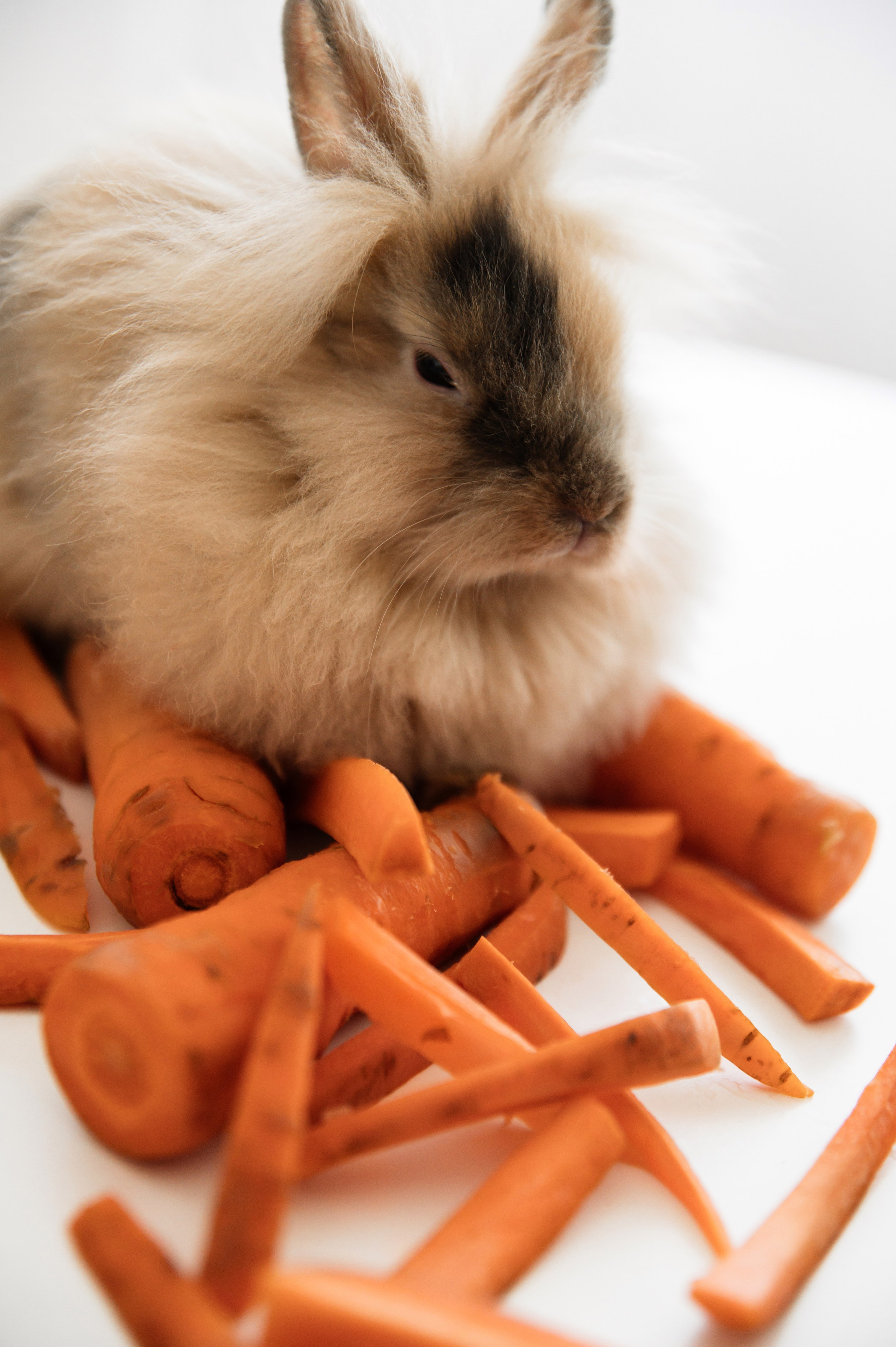 I&V. Фотограф Кирилл Верт