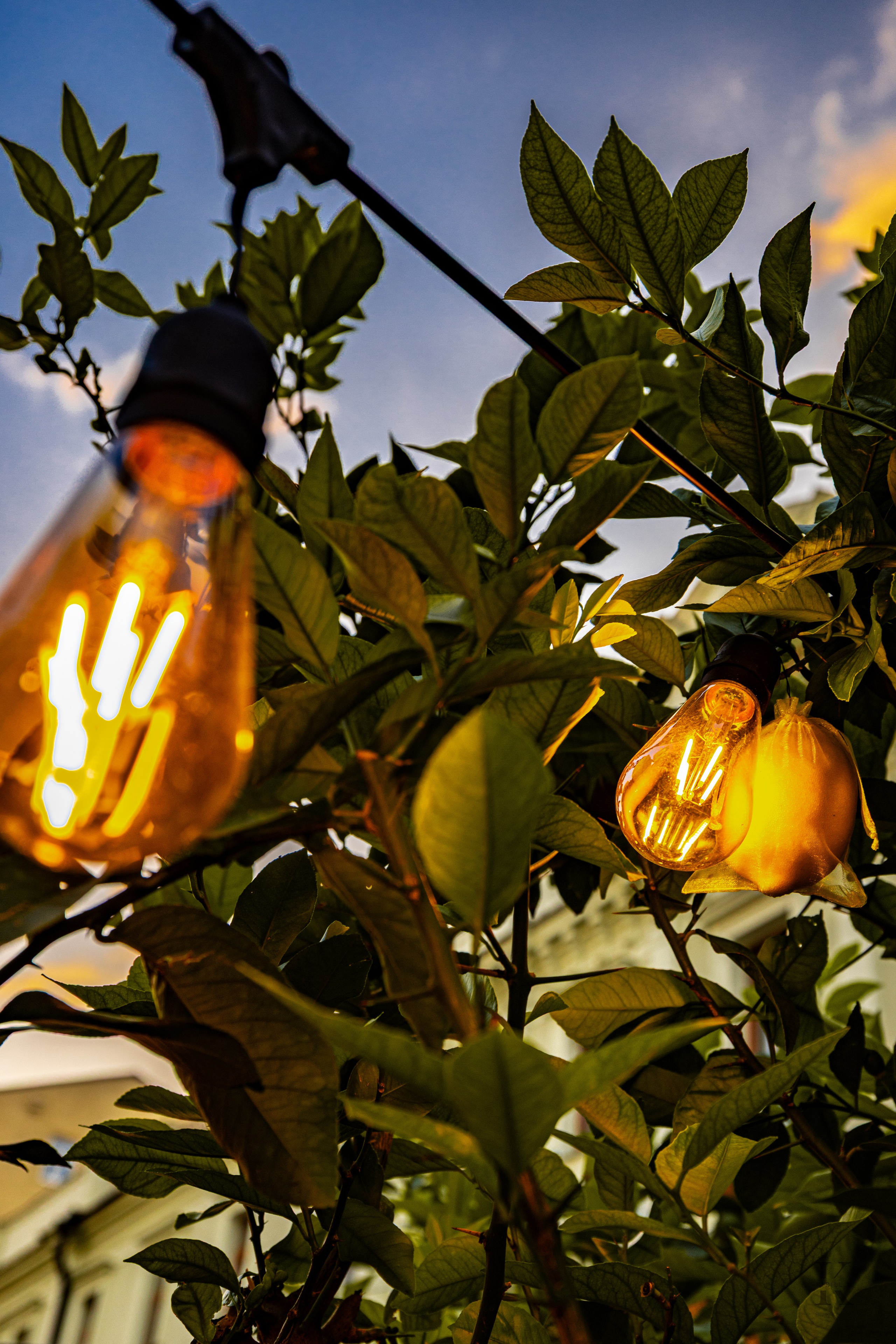 Мой Взгляд!. Фотографирую жизнь! Московский фотограф волонтер