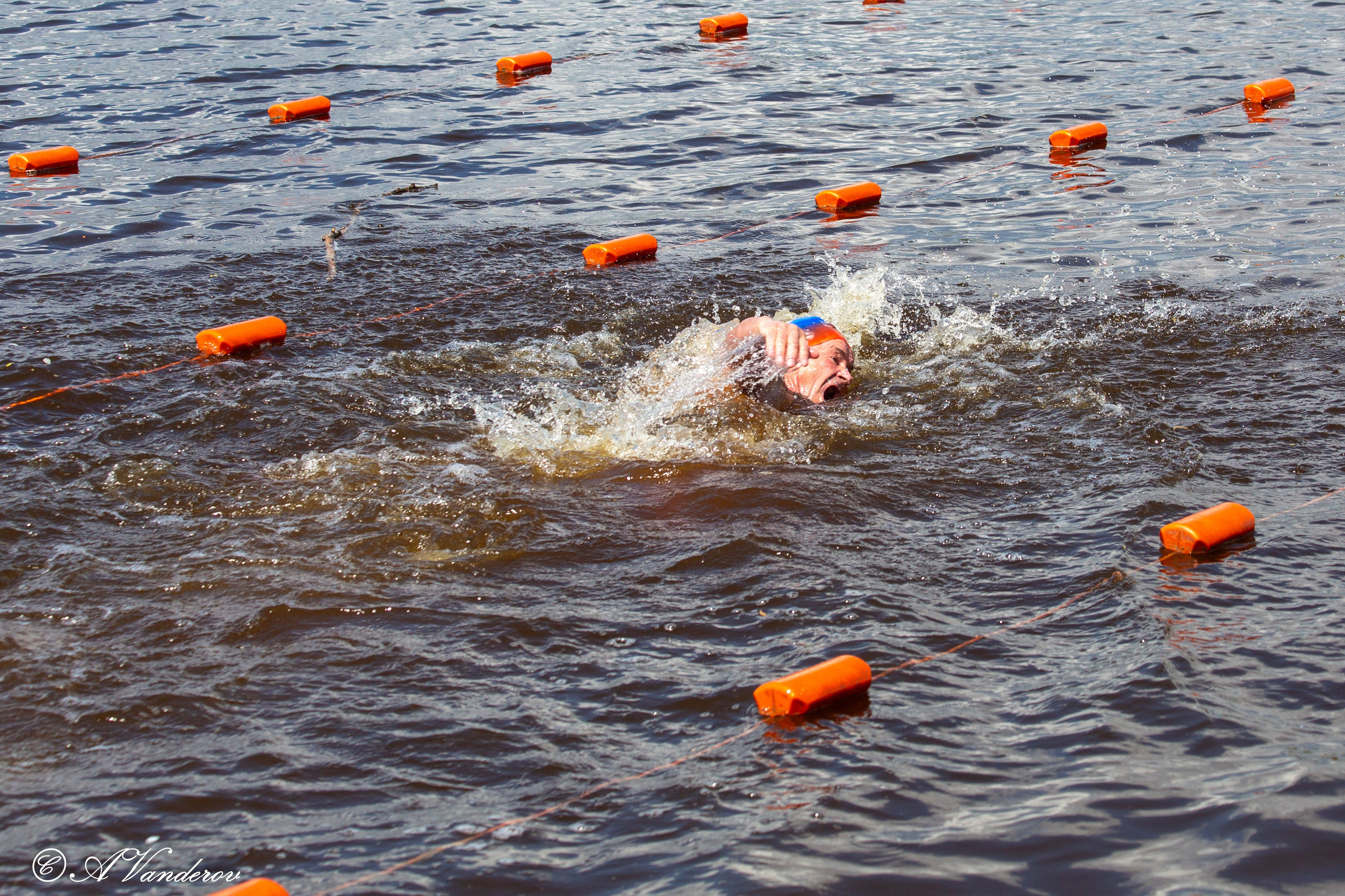 Заплыв 02.06.2024. Фотограф Омск | Александр Вандеров