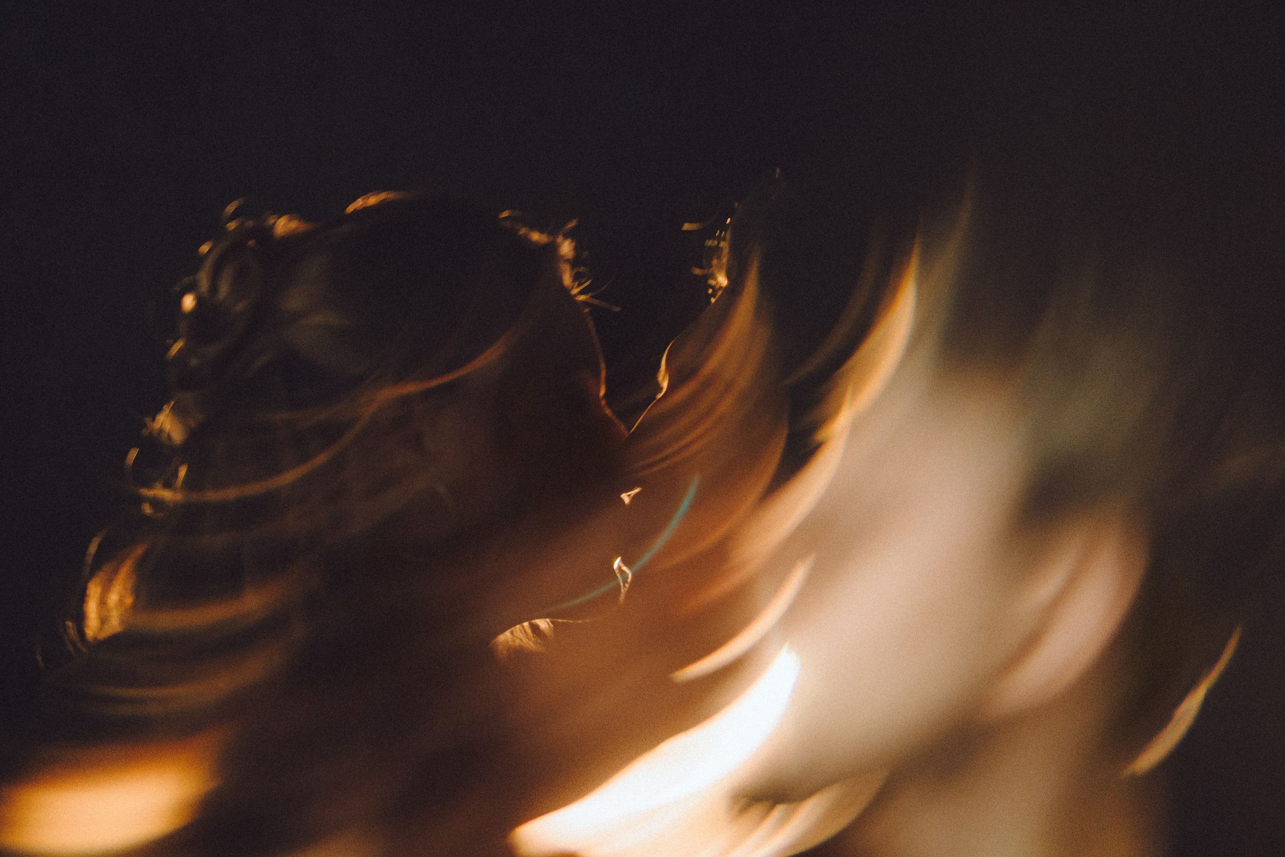 Денис, Василина, Гаврюша и Кнопка