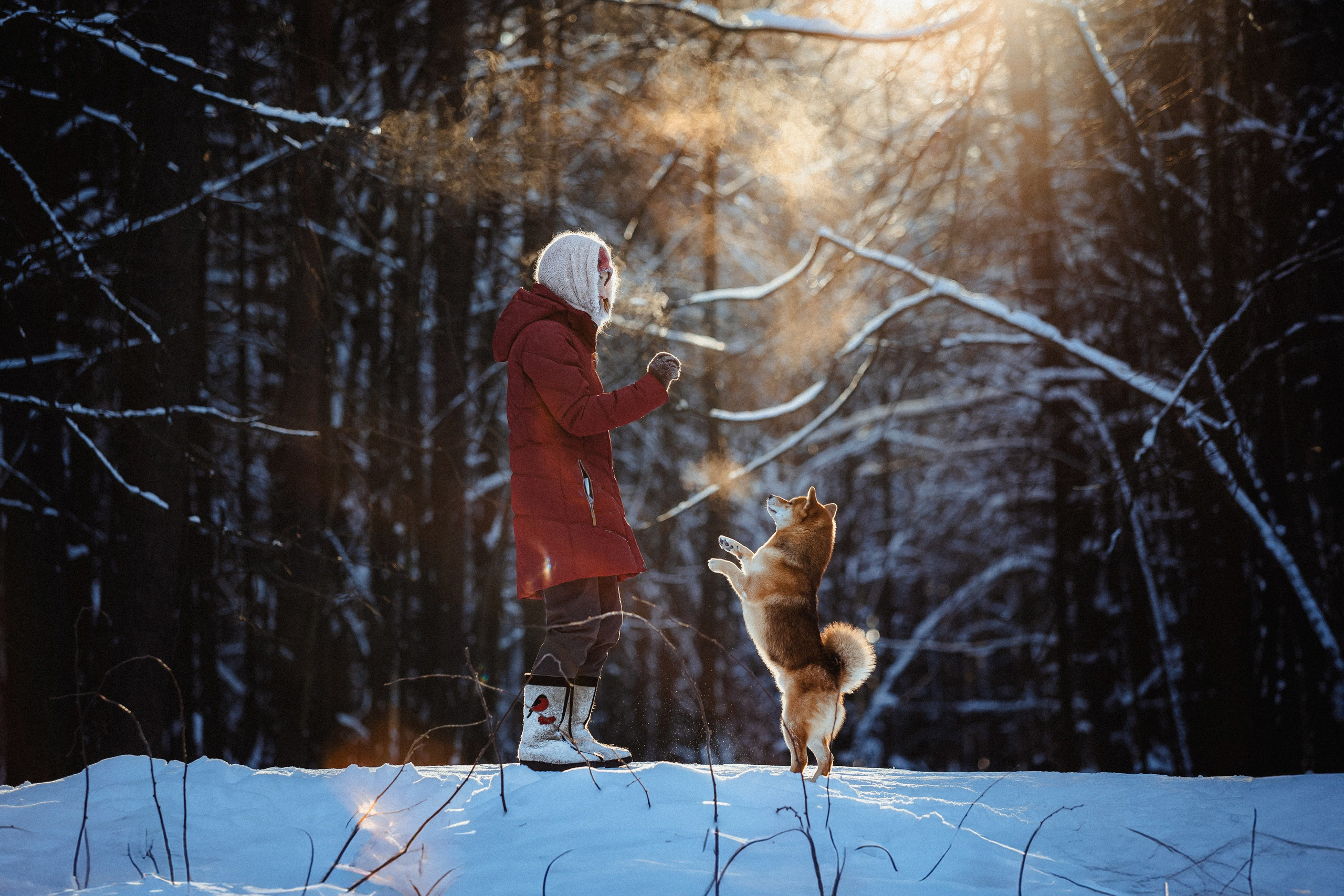 Шед, Цири и Ира