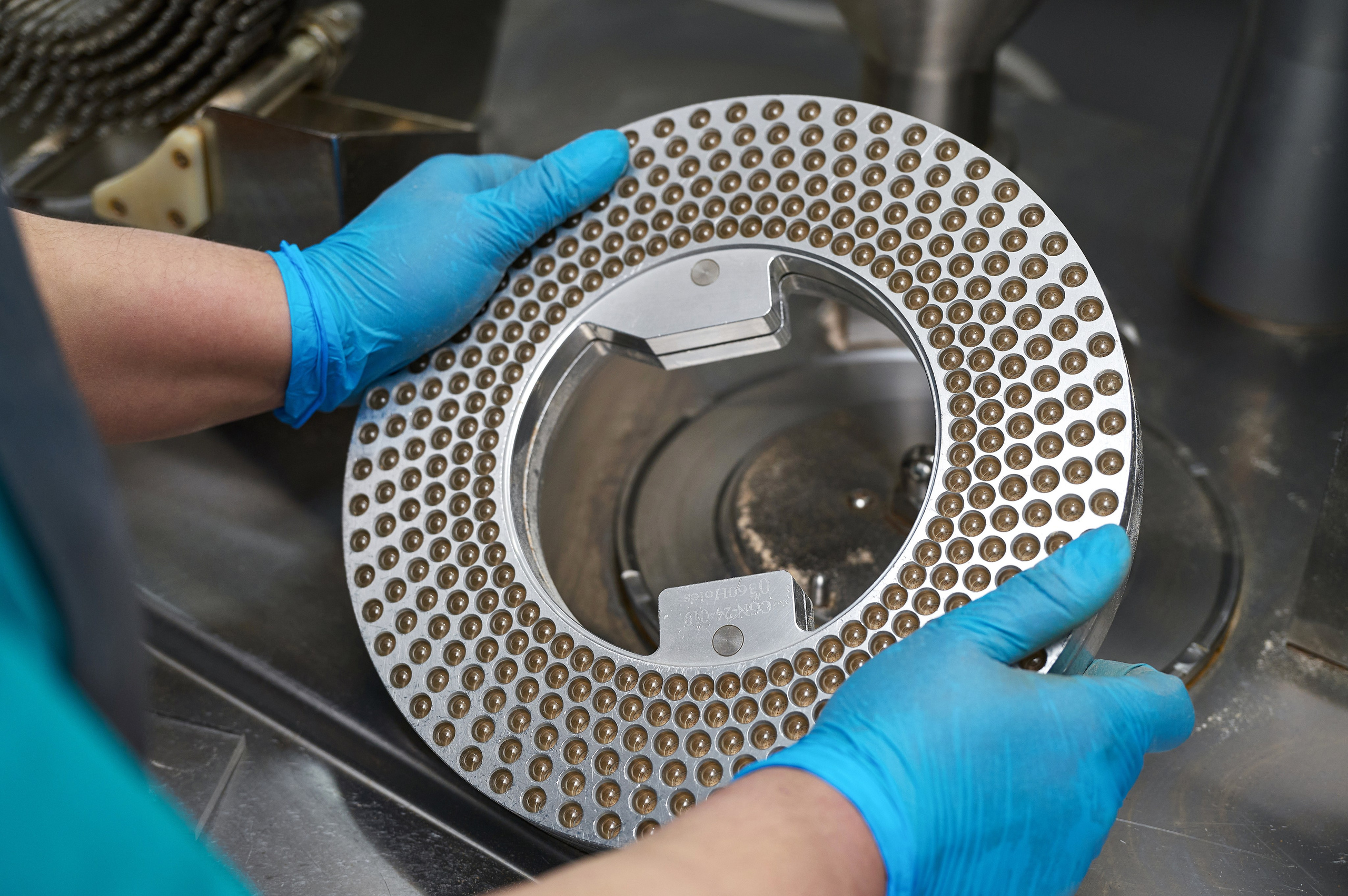 Алтайский изготовитель. Фотограф Опыт Качество Скорость Горный Алтай Барнаул