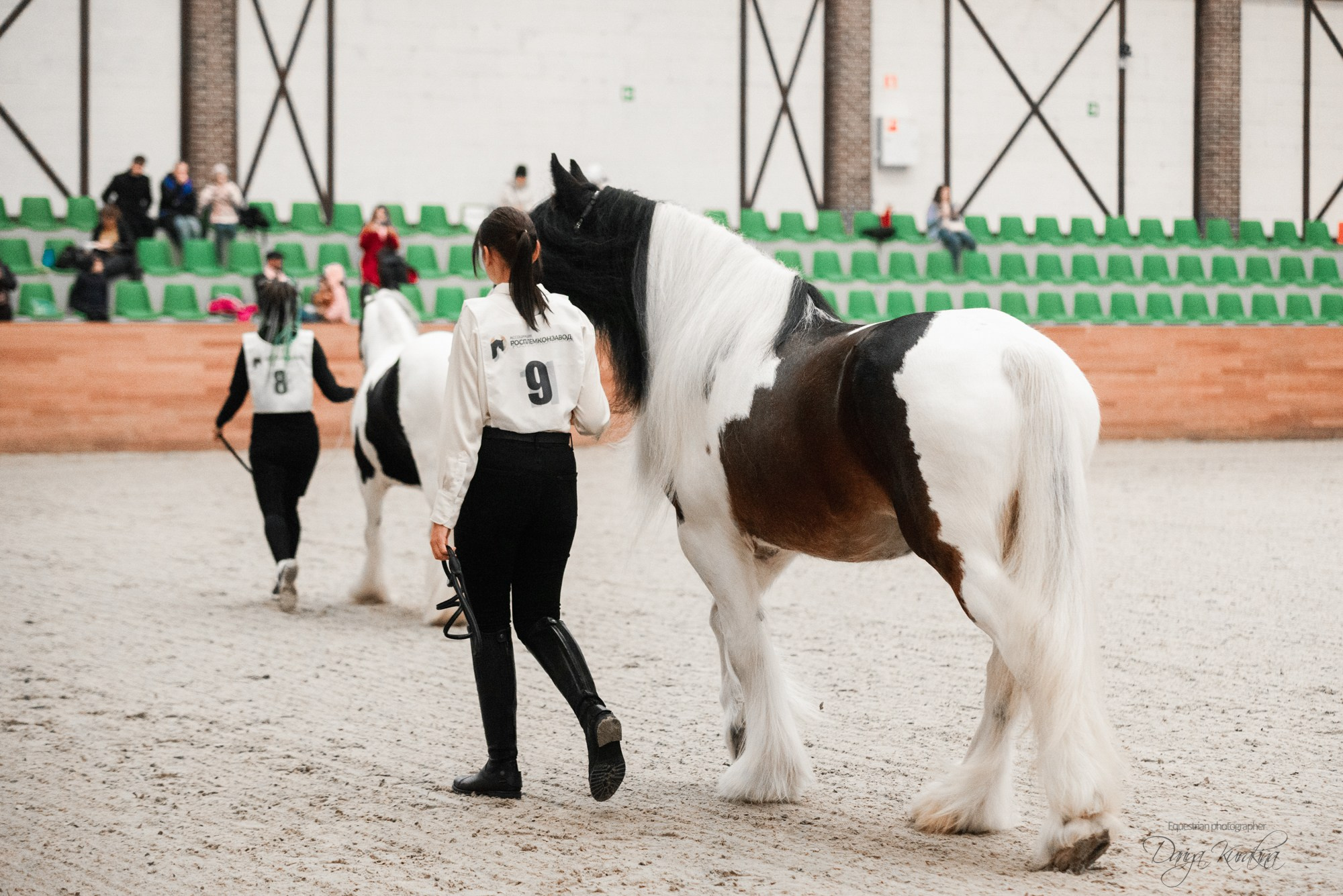 8-я международная выставка Конная Россия. Конный фотограф Куракина Дарья • Фотосессии с лошадьми