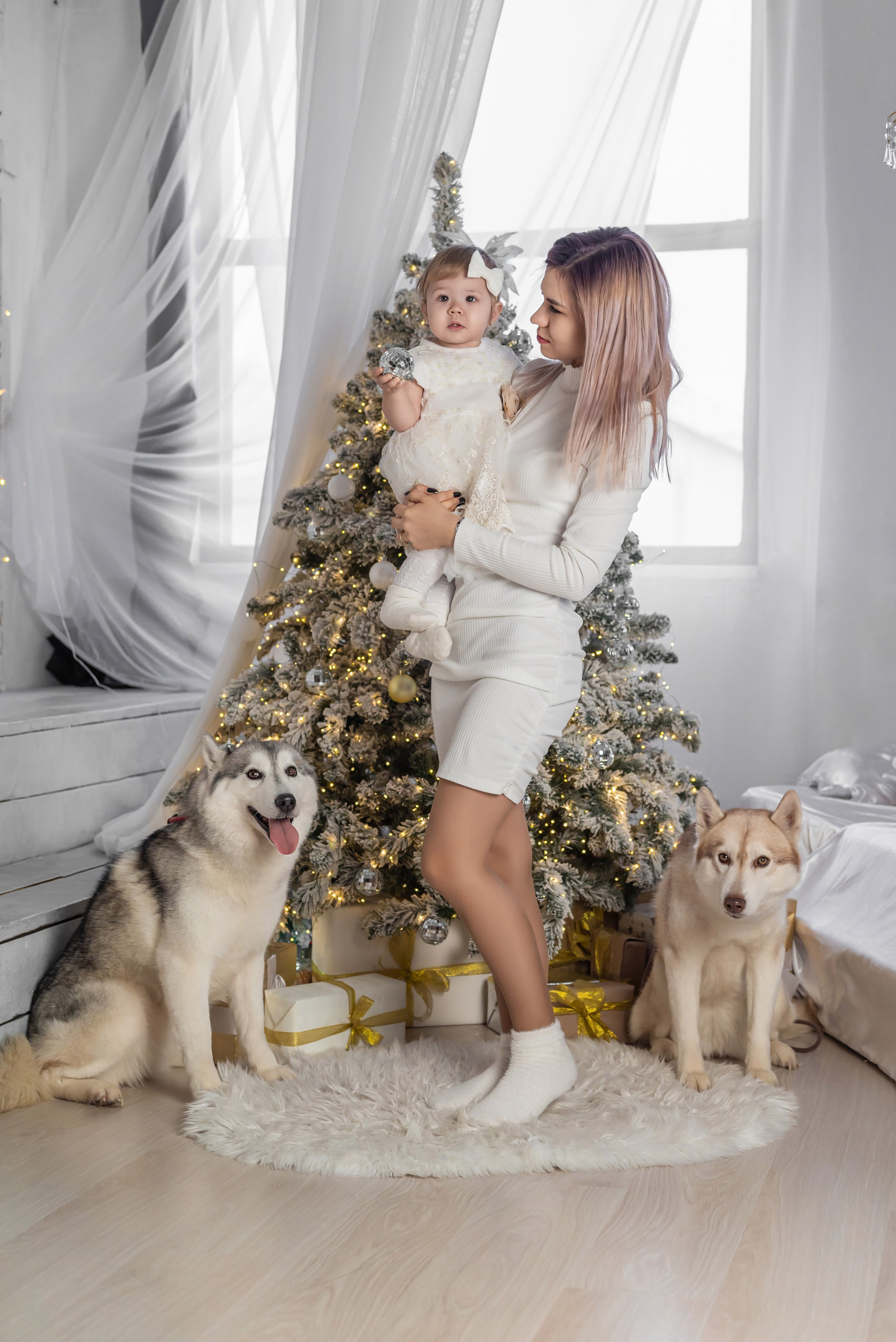 Фотопроект с хаски. Фотограф в городе Салават