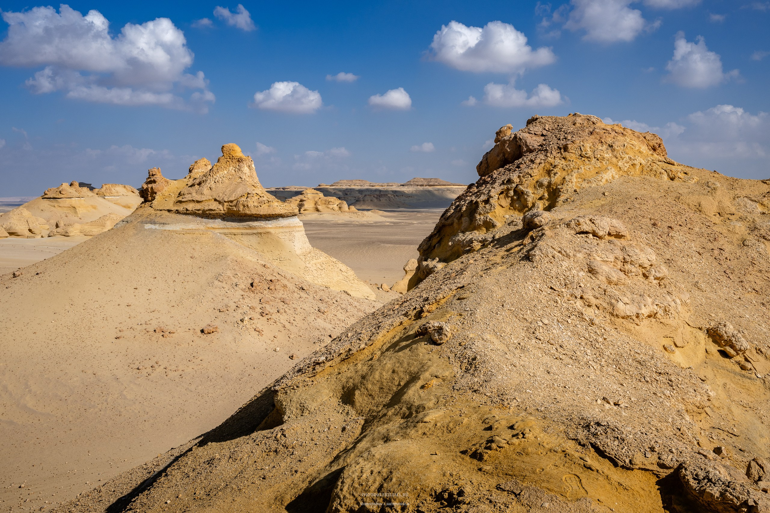 Снова в пустыню, за скелетами…. Авторские стильные фотокартины