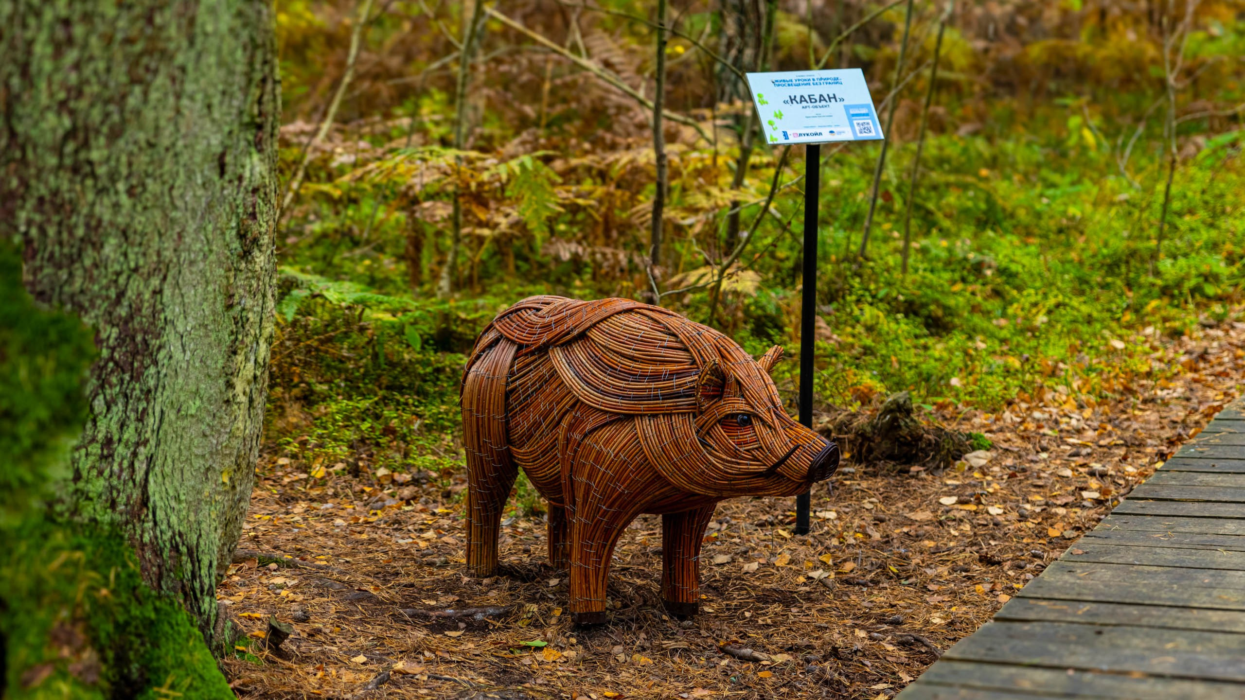 2024 10 Зеленоградск, Светлогорск, Куршская коса. Фотографии