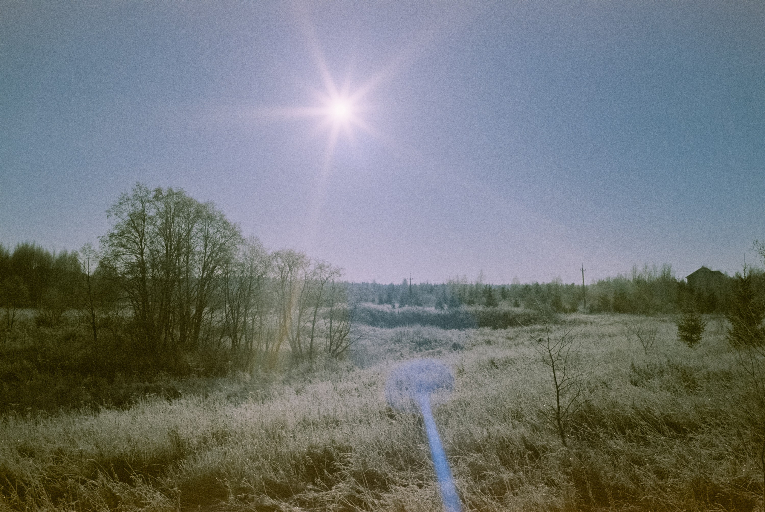 Minolta Hi-Matic 7sII / Kodak Color 200 (просрочка) / Лукино