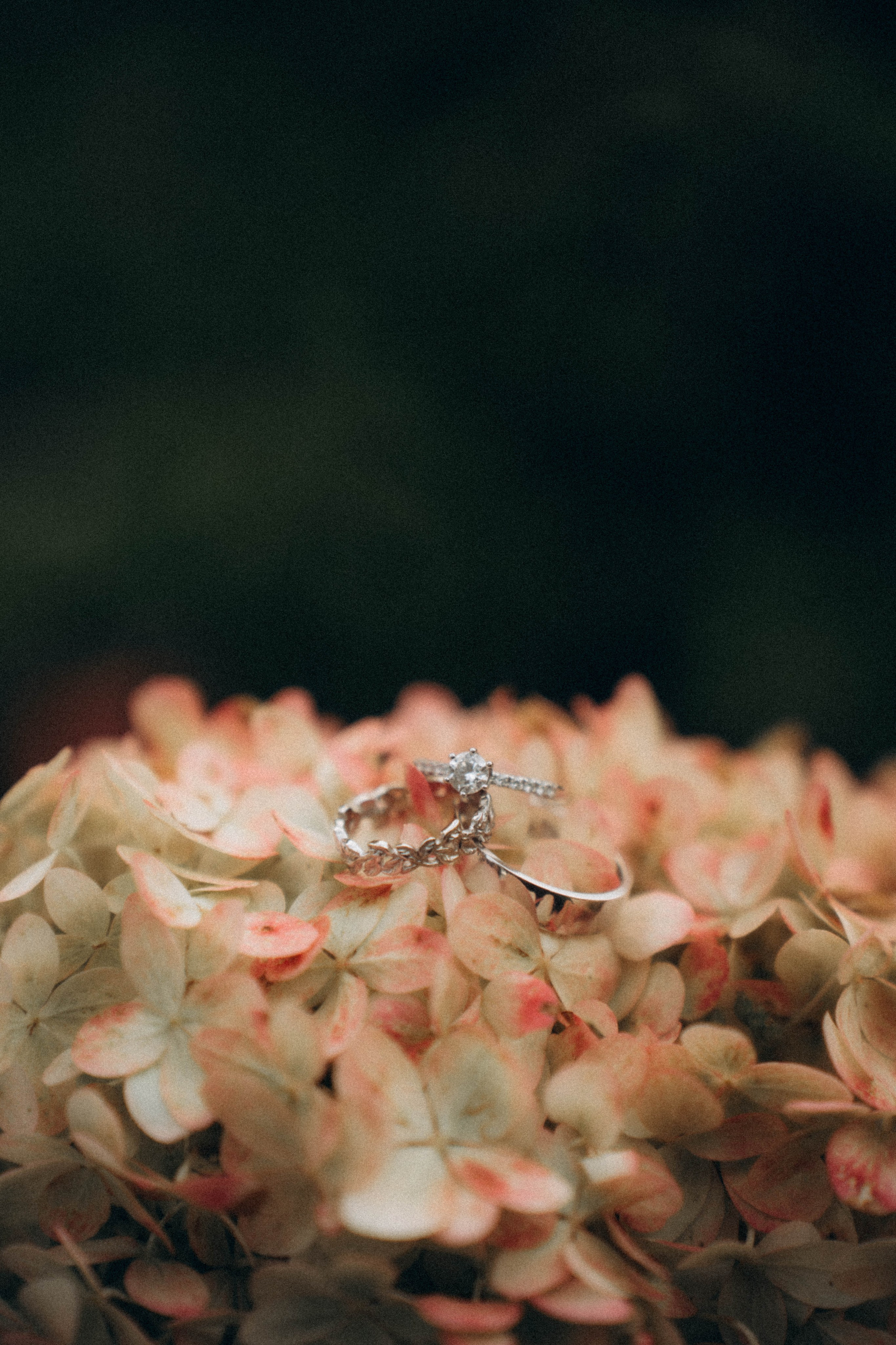 Тепло сентября. Фотограф Москва Селюкова Юлия