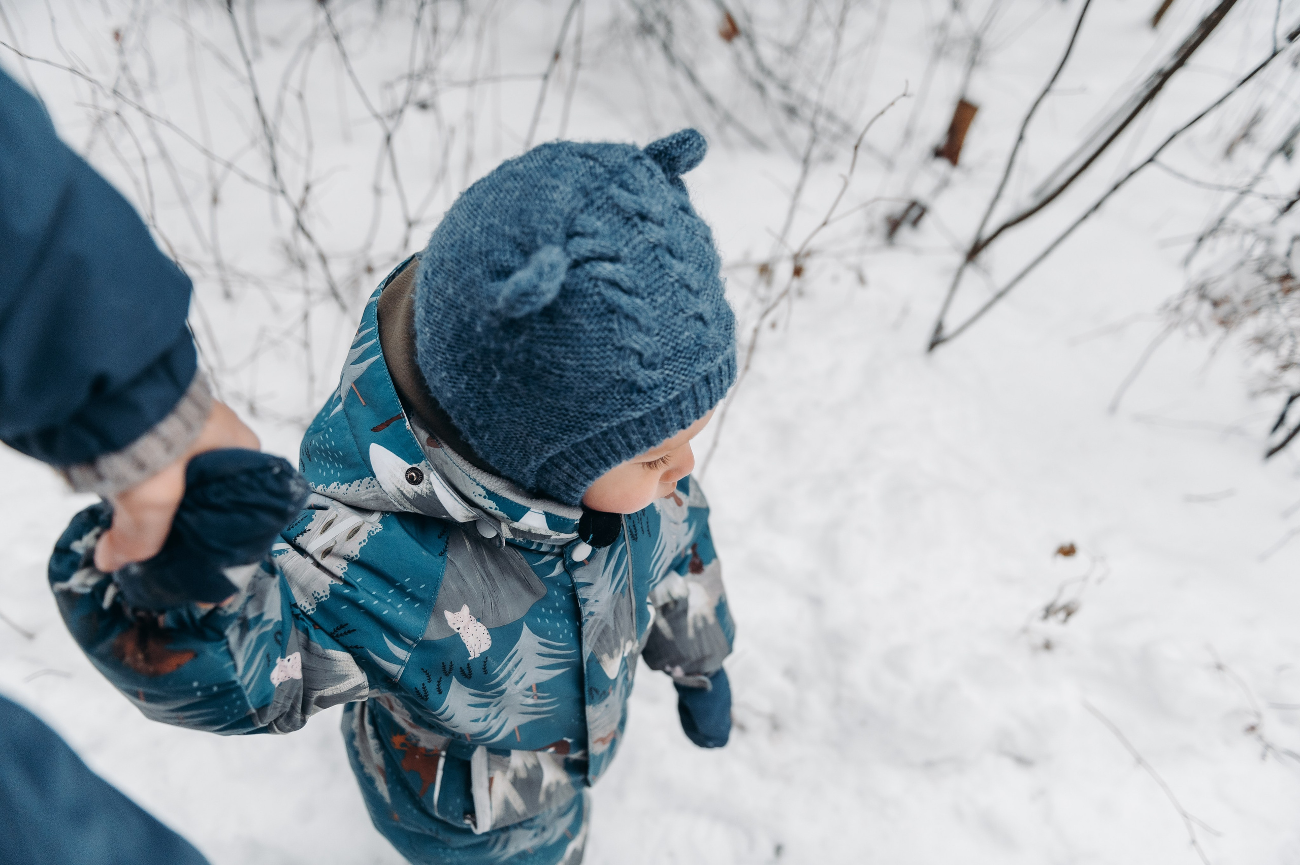 Снежная прогулка. Главная