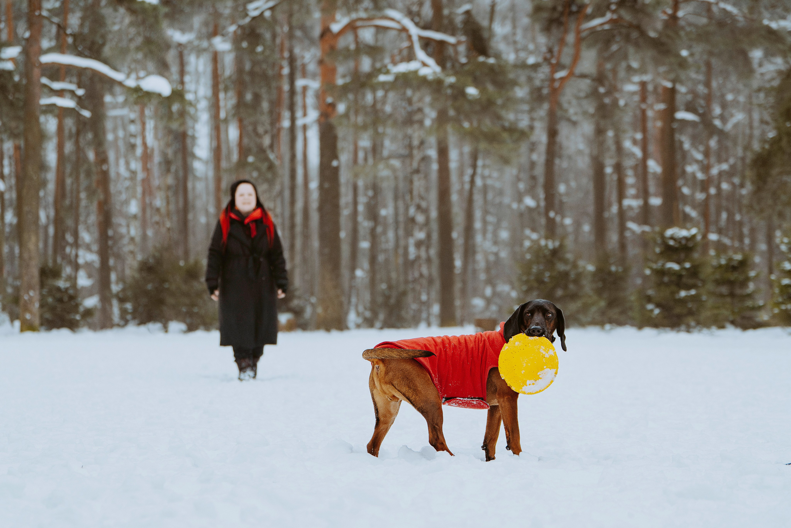 Ольга, Рора и Румпель. Фотограф анималист в Спб недорого Олеся Майорова