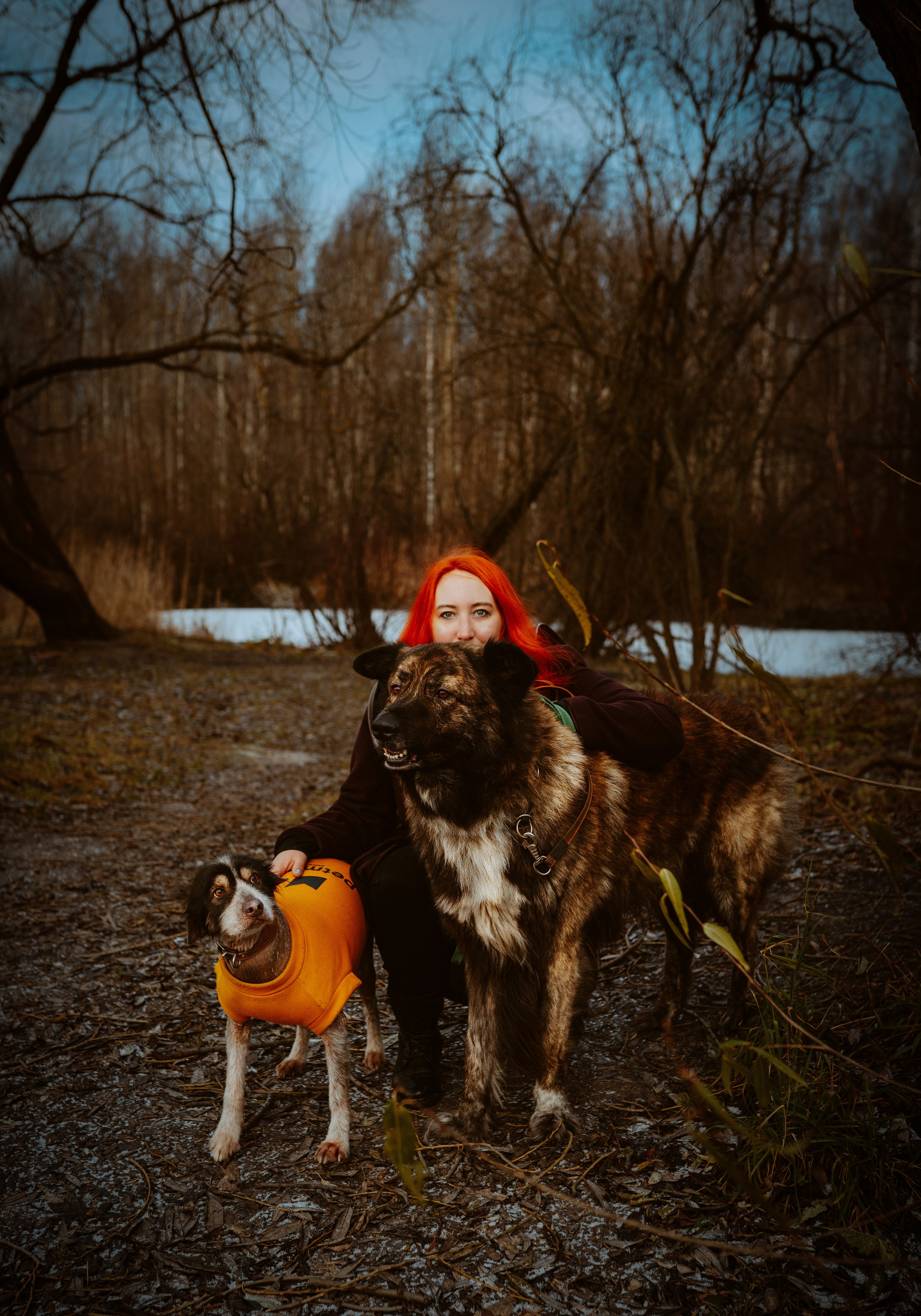 Творческая фотосессия фотографа анималиста. Фотограф анималист в Спб недорого Олеся Майорова