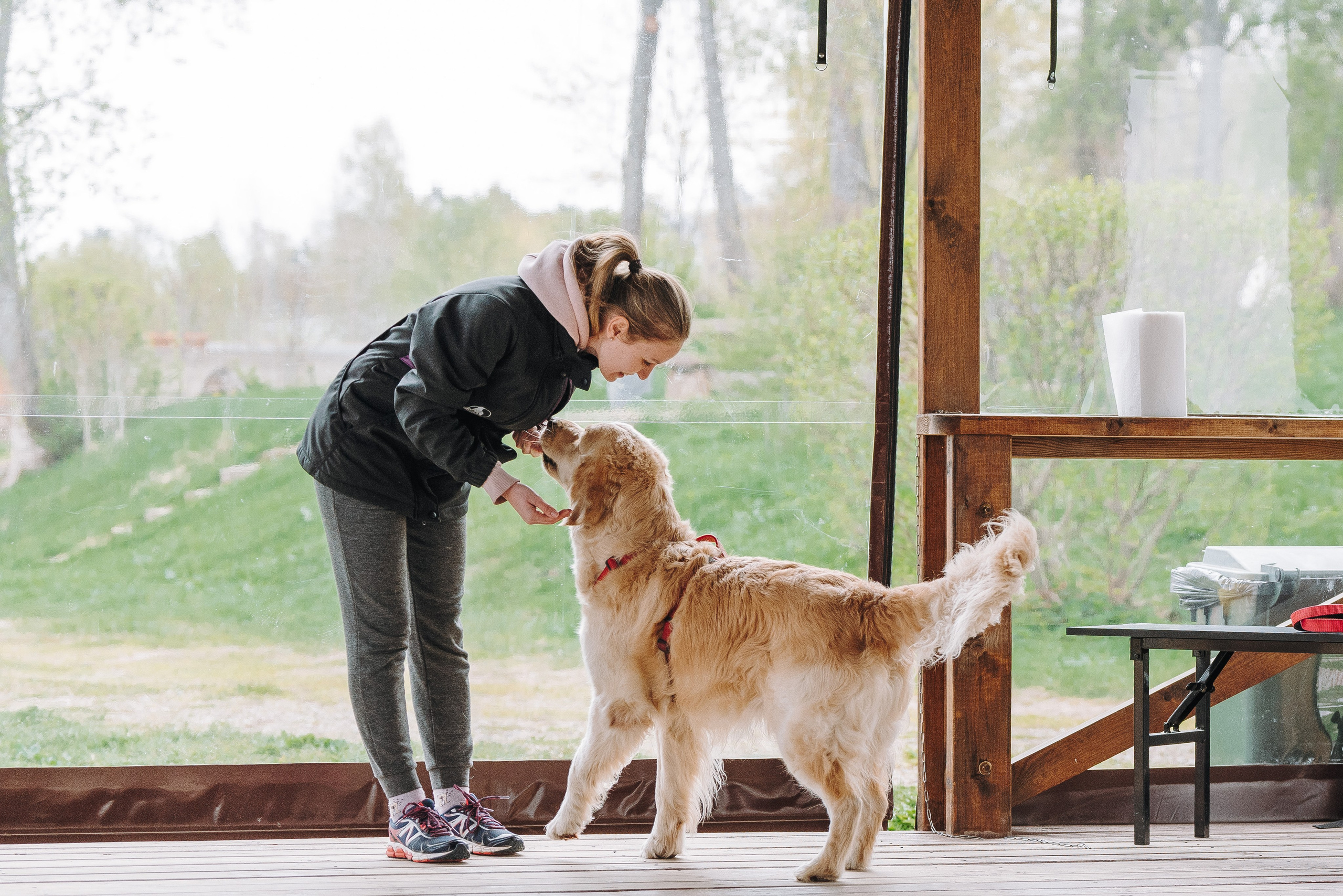 Соревнования по ноузворку в Лосево. Фотограф анималист в Спб недорого Олеся Майорова