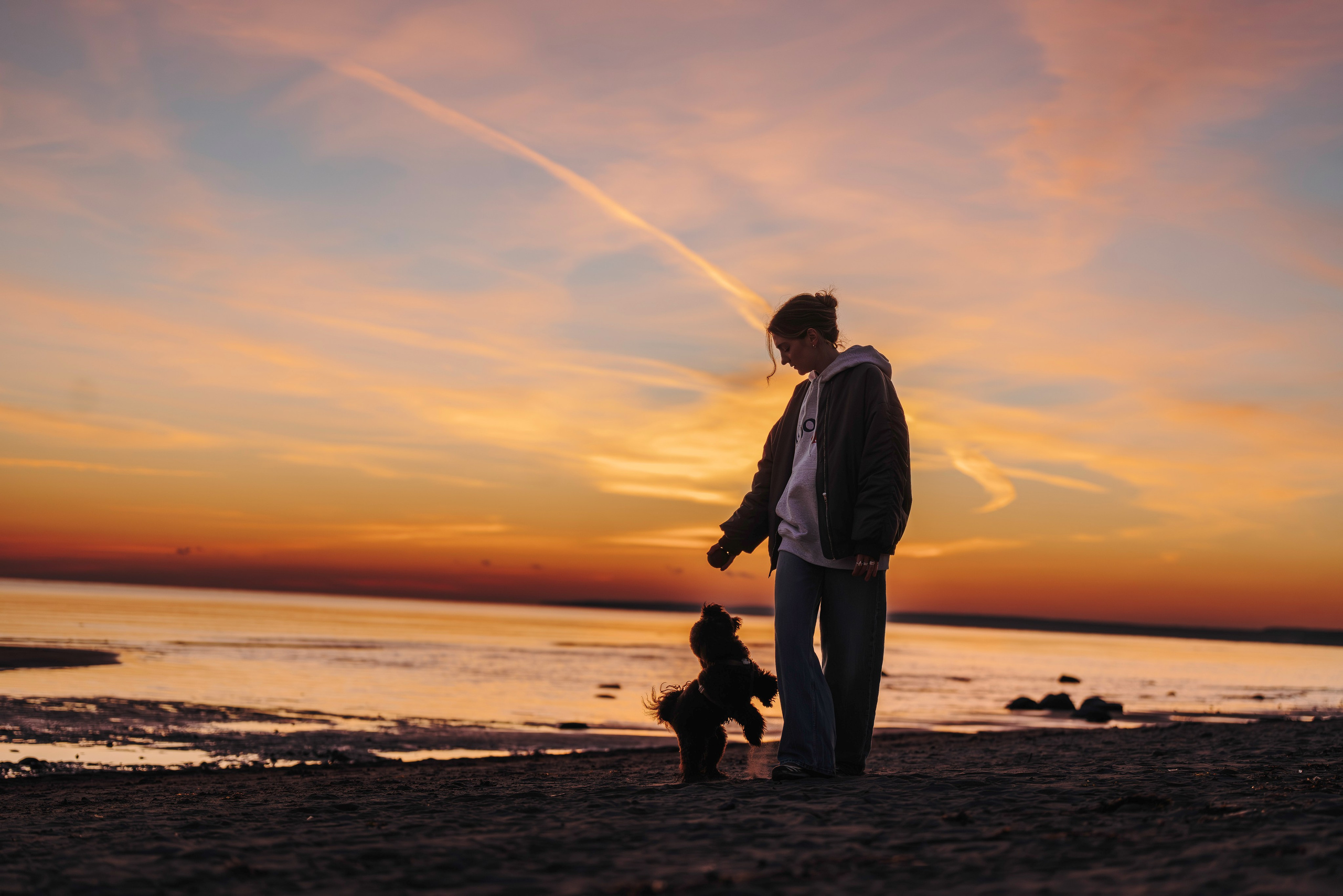 Фотосессия девушки с пуделем на пляже на закате. Фотограф анималист в Спб недорого Олеся Майорова