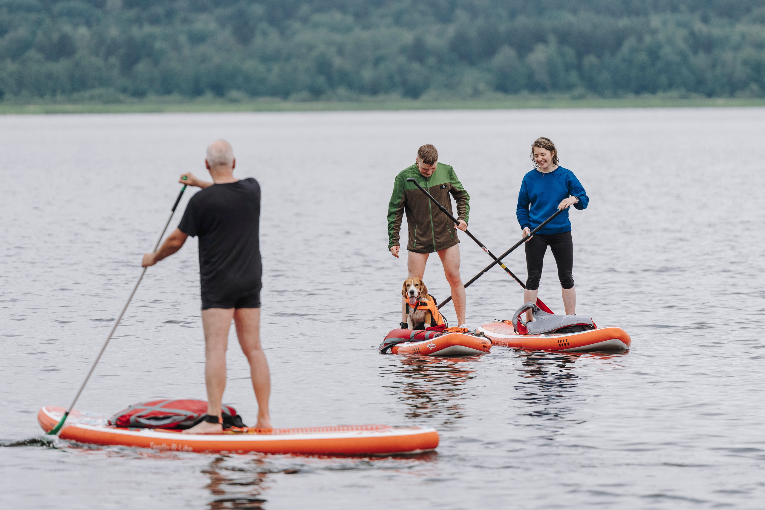 Катание на сапах с собаками. Фотограф анималист в Спб недорого Олеся Майорова
