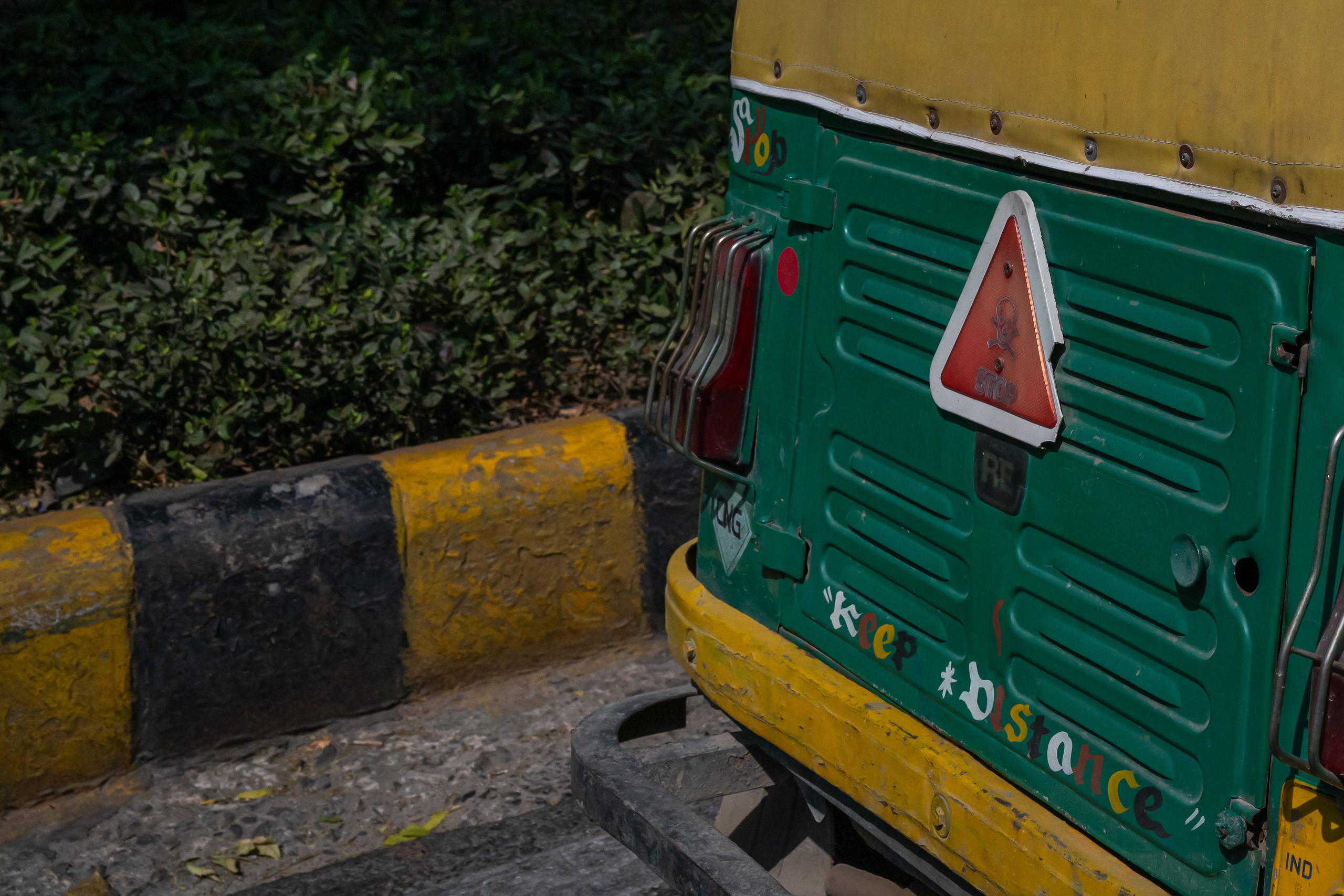 India 2024-2025. Dimitri Bakhtadze photographer