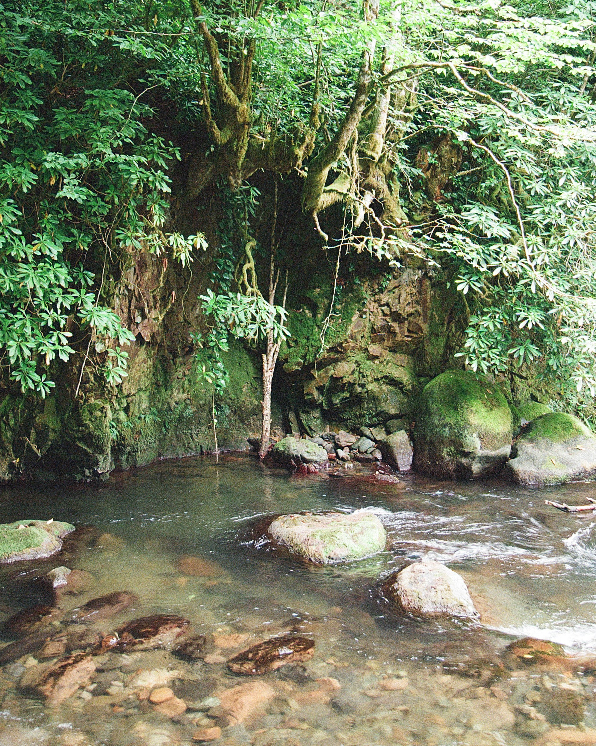 ГРУЗИЯ. ПРИРОДА.25. Профессиональный фотограф Федотова Арина