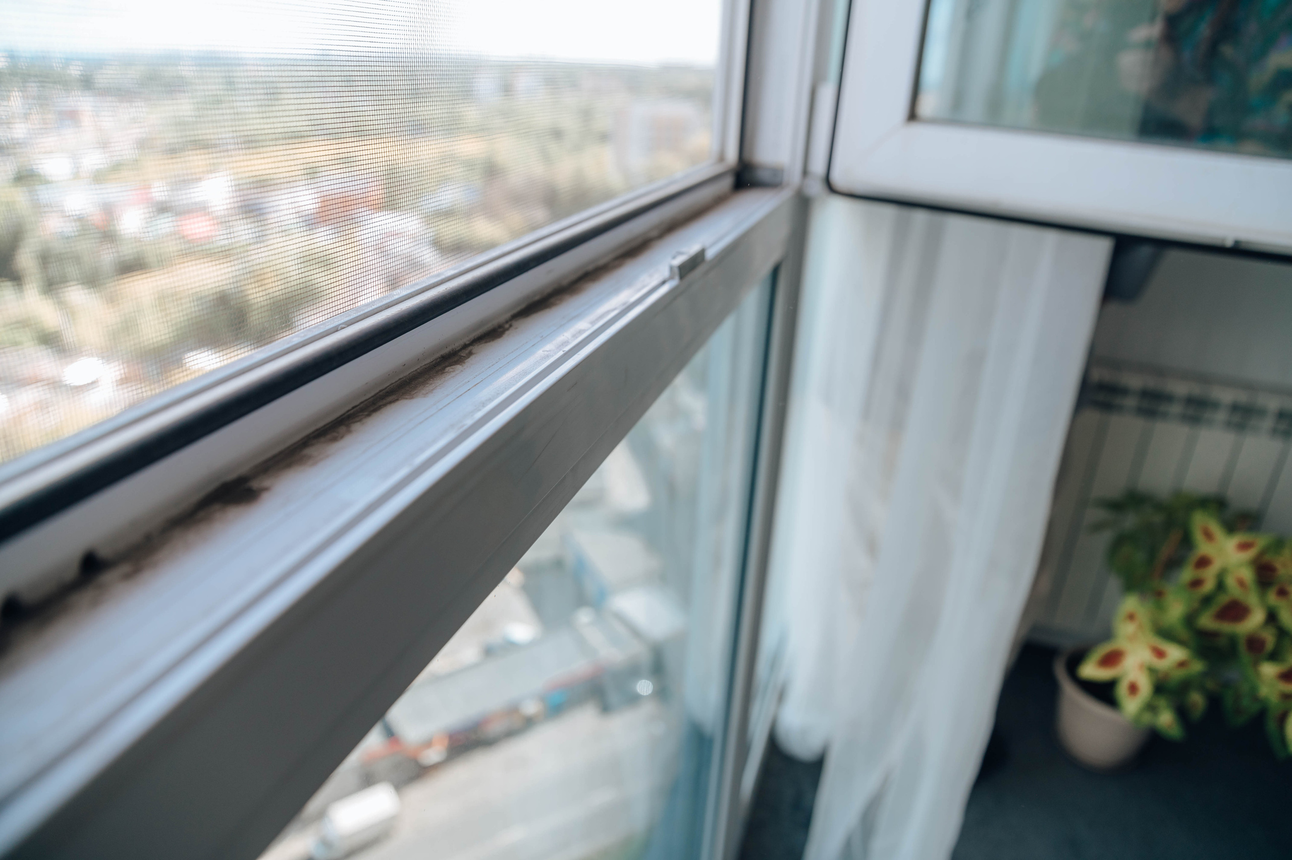 Братья ЧИСТОВЫ. Детский и семейный фотограф Катерина Мишина