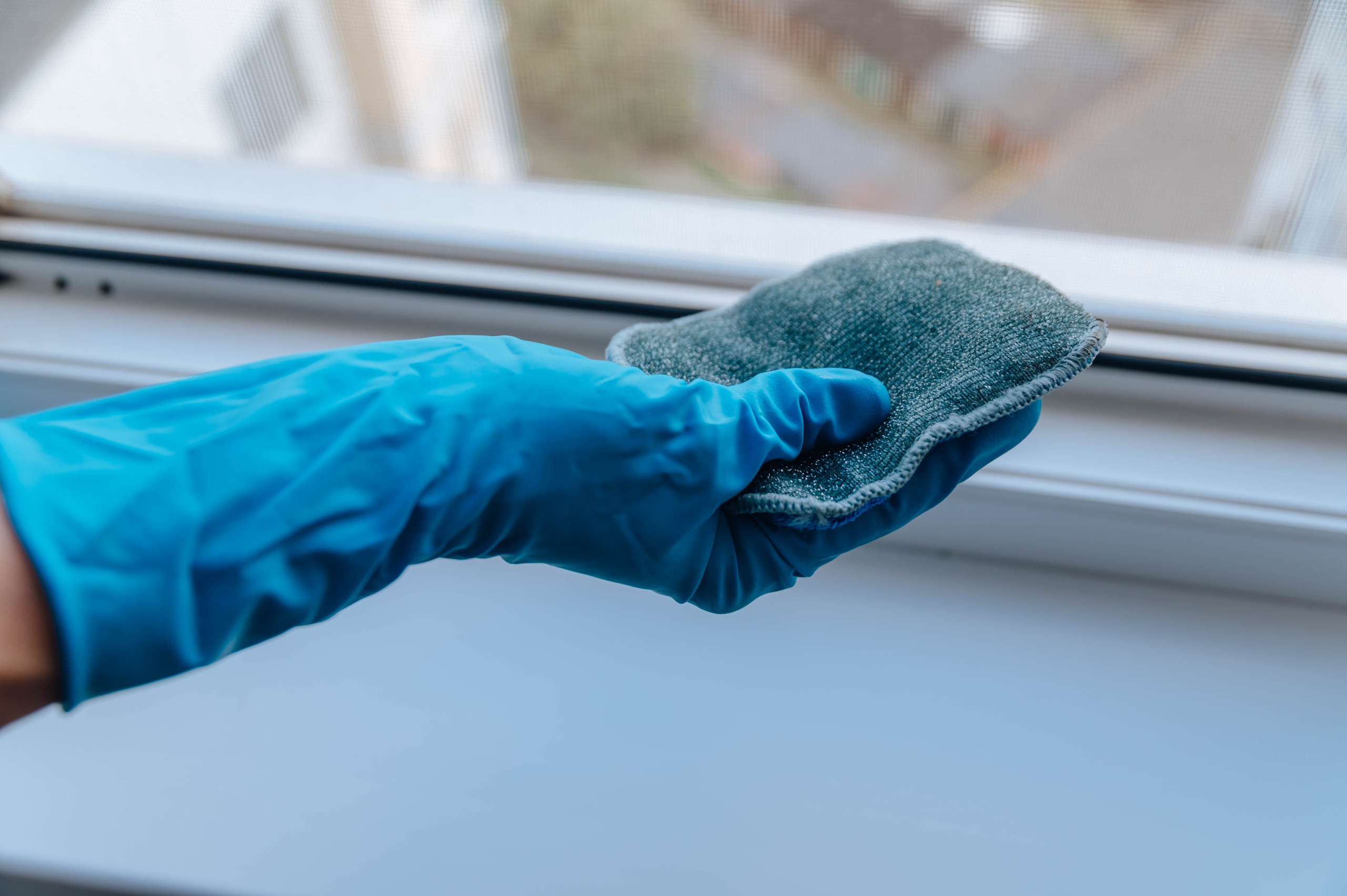 Братья ЧИСТОВЫ. Детский и семейный фотограф Катерина Мишина