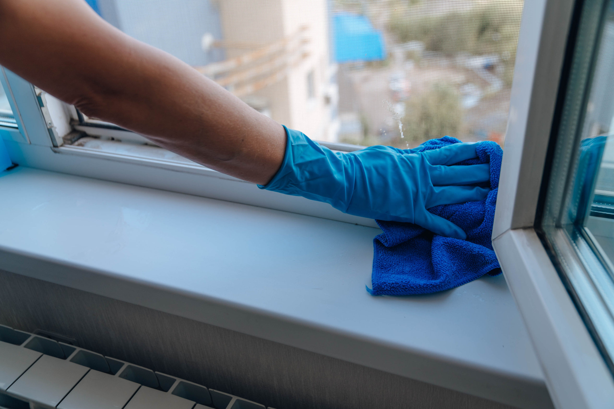 Братья ЧИСТОВЫ. Детский и семейный фотограф Катерина Мишина