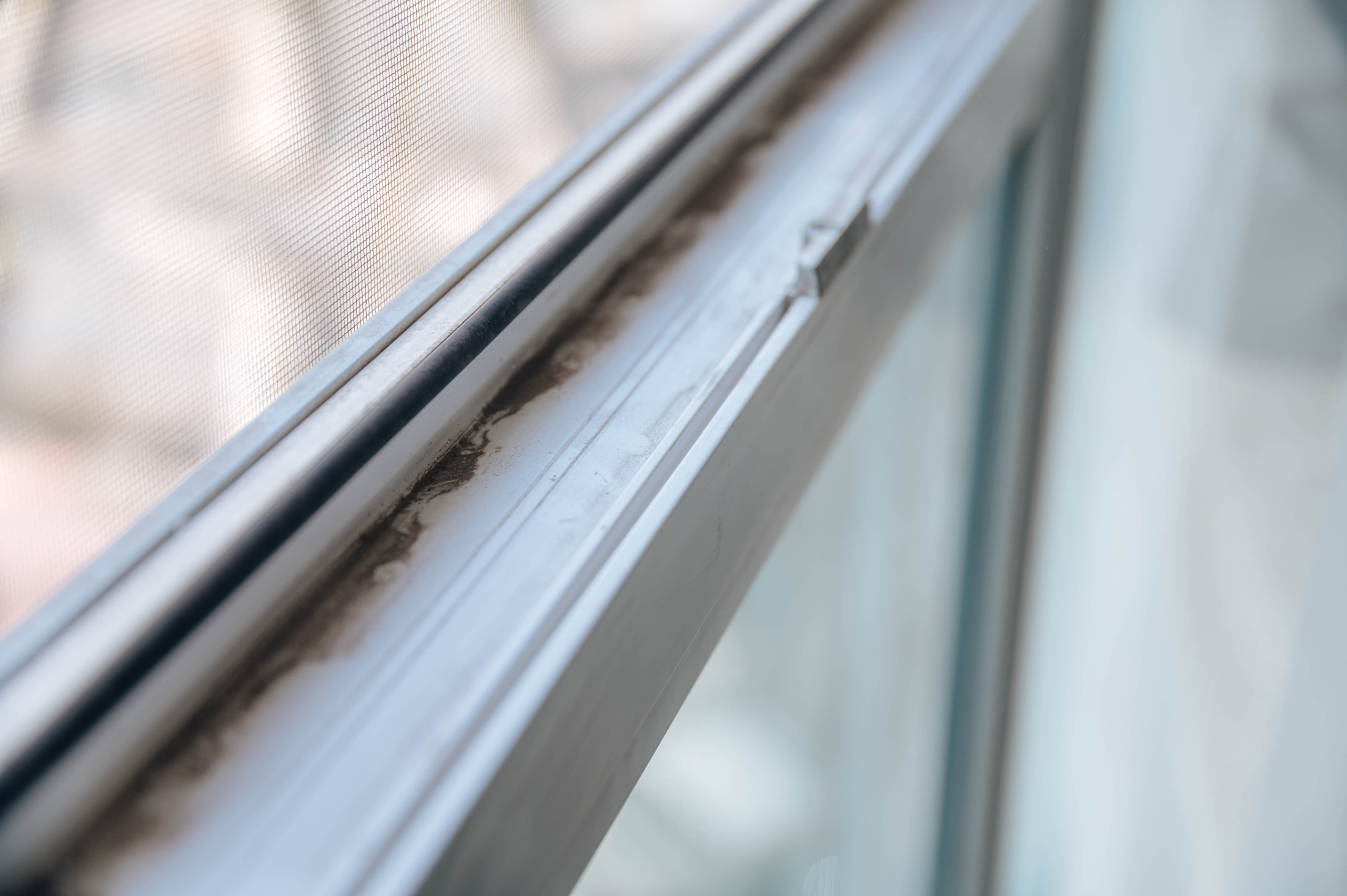 Братья ЧИСТОВЫ. Детский и семейный фотограф Катерина Мишина