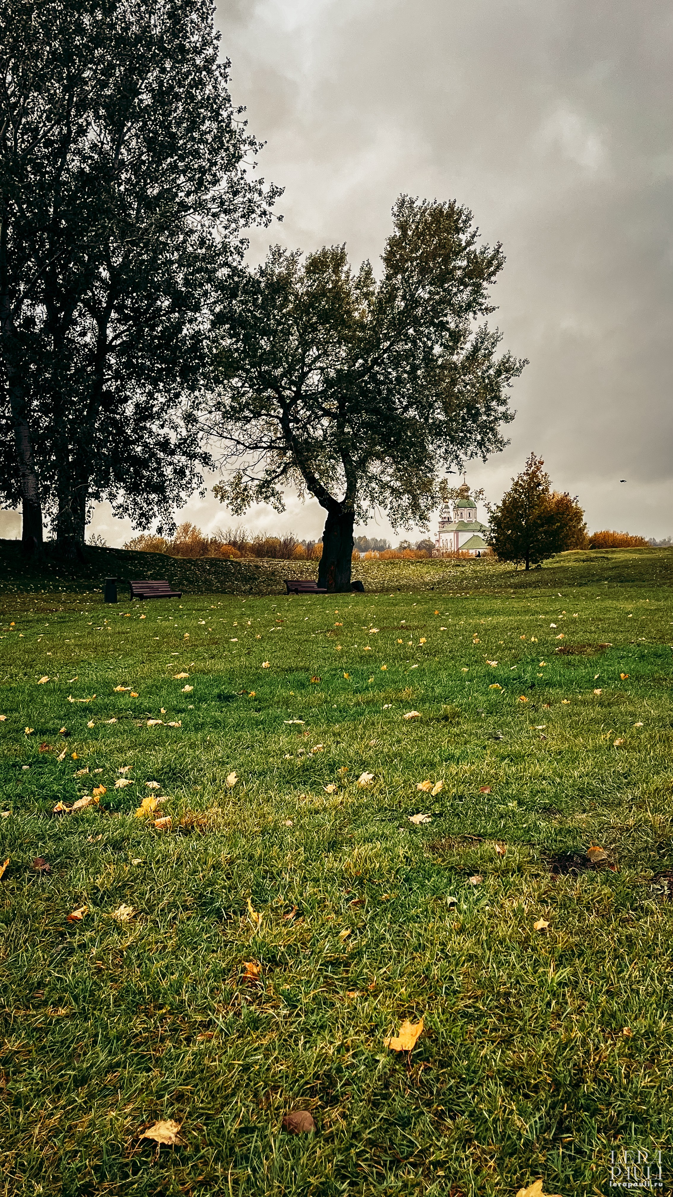 Суздаль. Главная