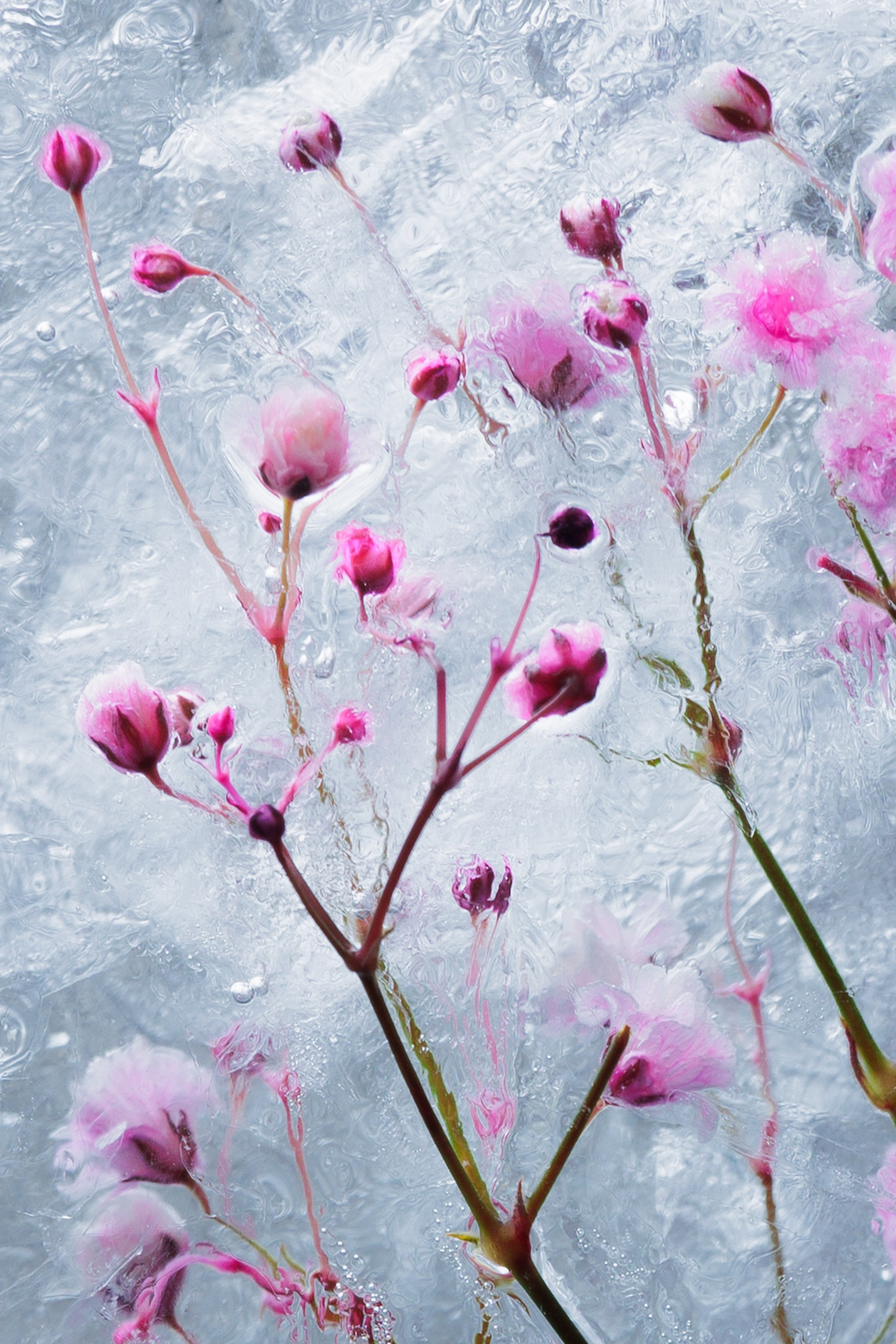 Пробуждение. Фотограф Алекс Май