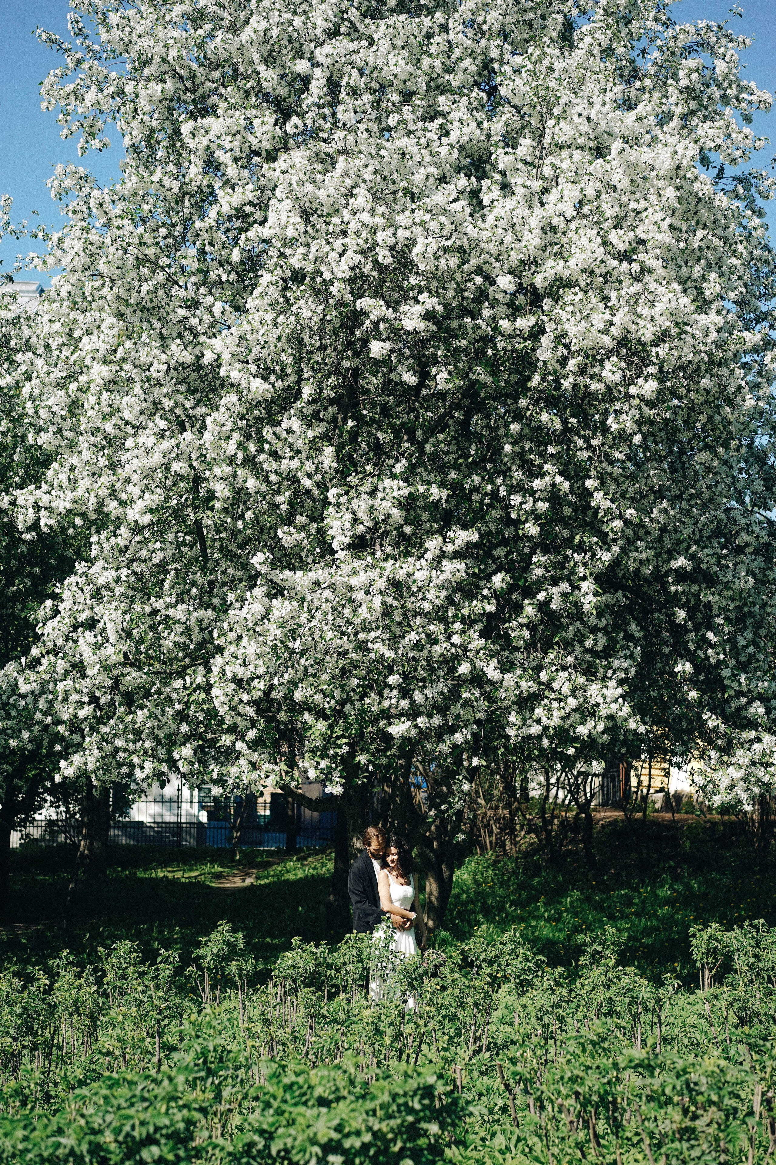 Wedding Kirill&Kseniya. Ксения Копна. Фотограф из Санкт-Петербурга