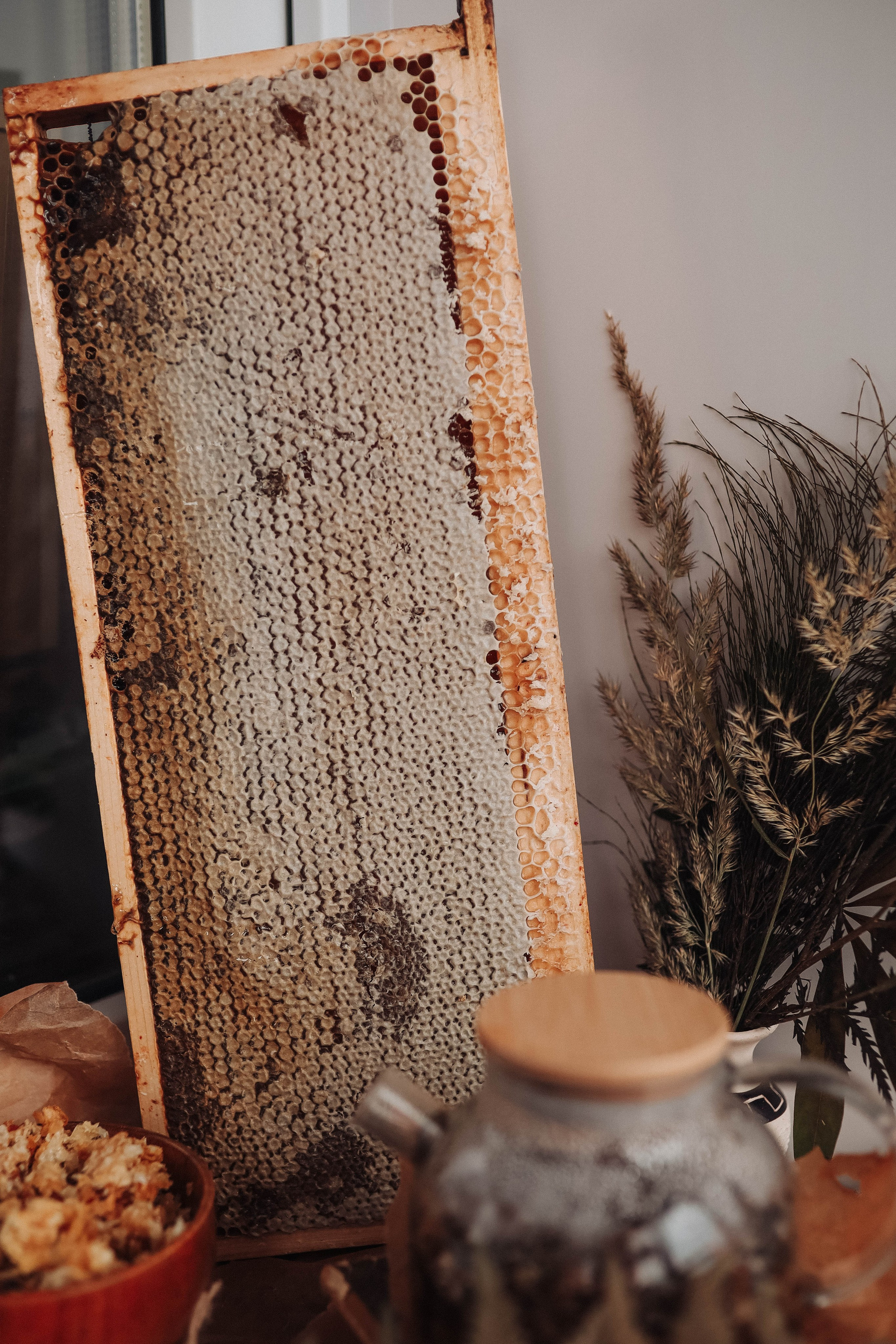 Мед. Фотограф  Ксения Евдокова. Дзержинск, Нижний, Москва, Питер