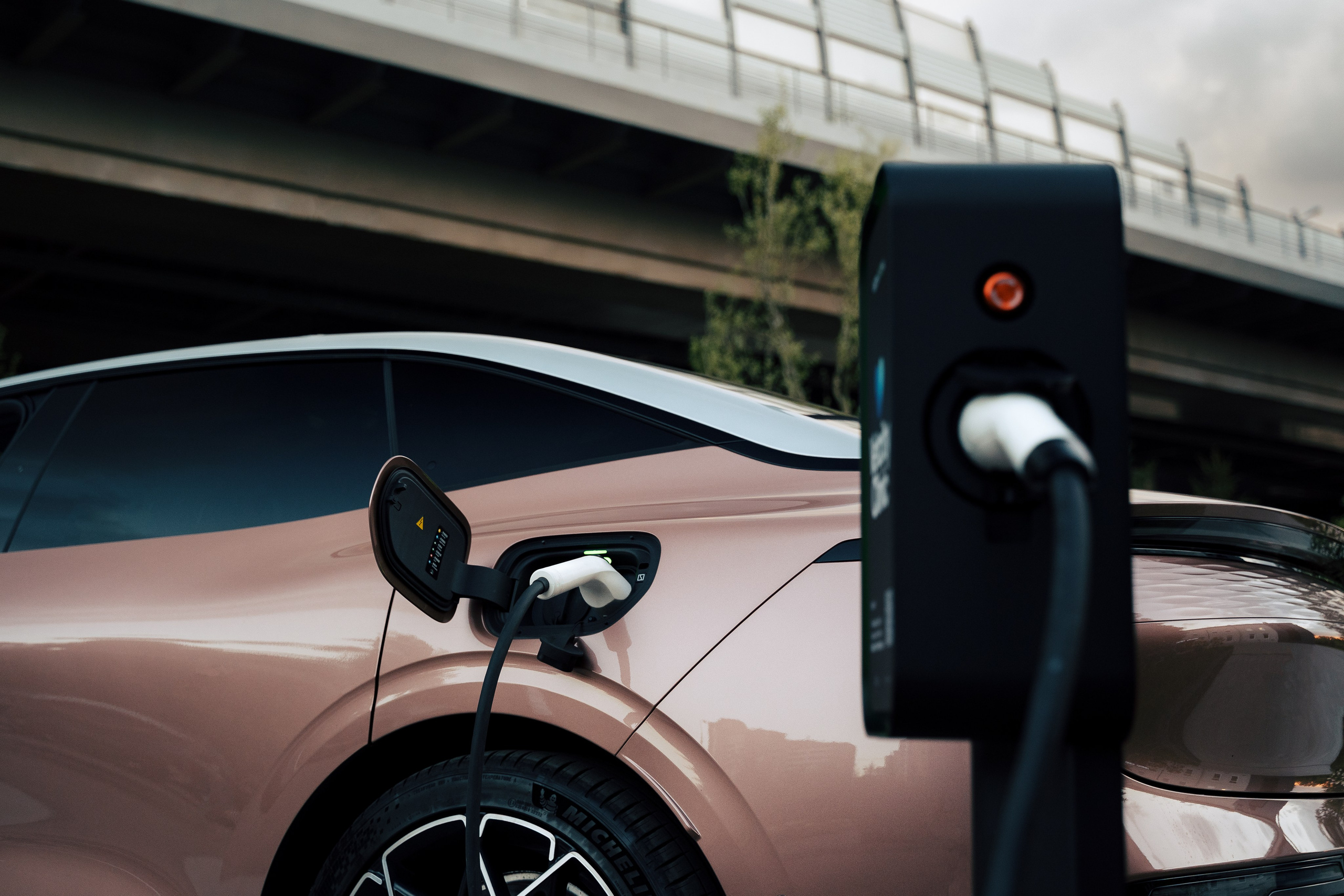 Edison Solo х Vetcity Clinic. Профессиональный фотограф и оператор в Москве — Максим Проценко