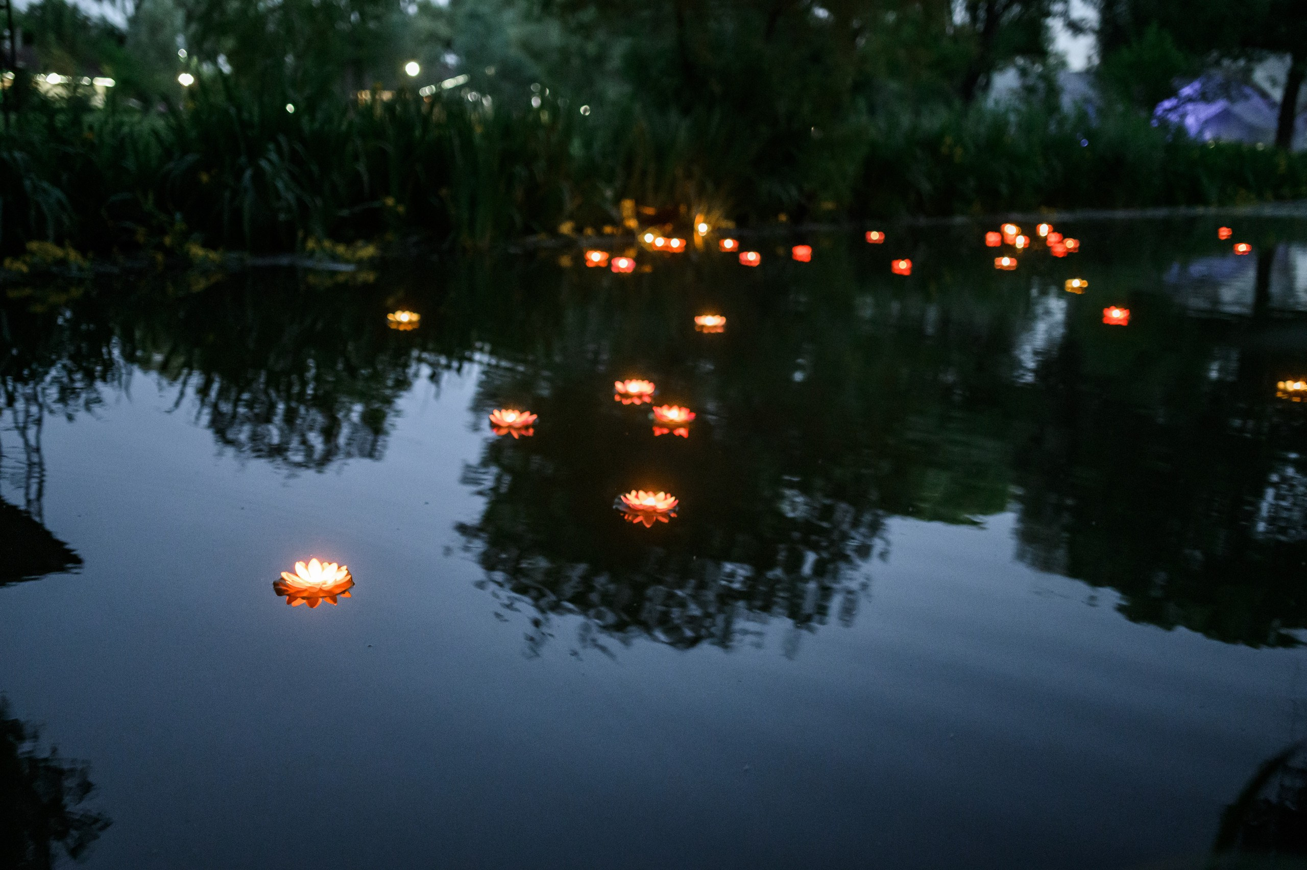 Свадьба в усадьбе Остров. Kirillova Studio — мастерская декора и событий Юли Кирилловой