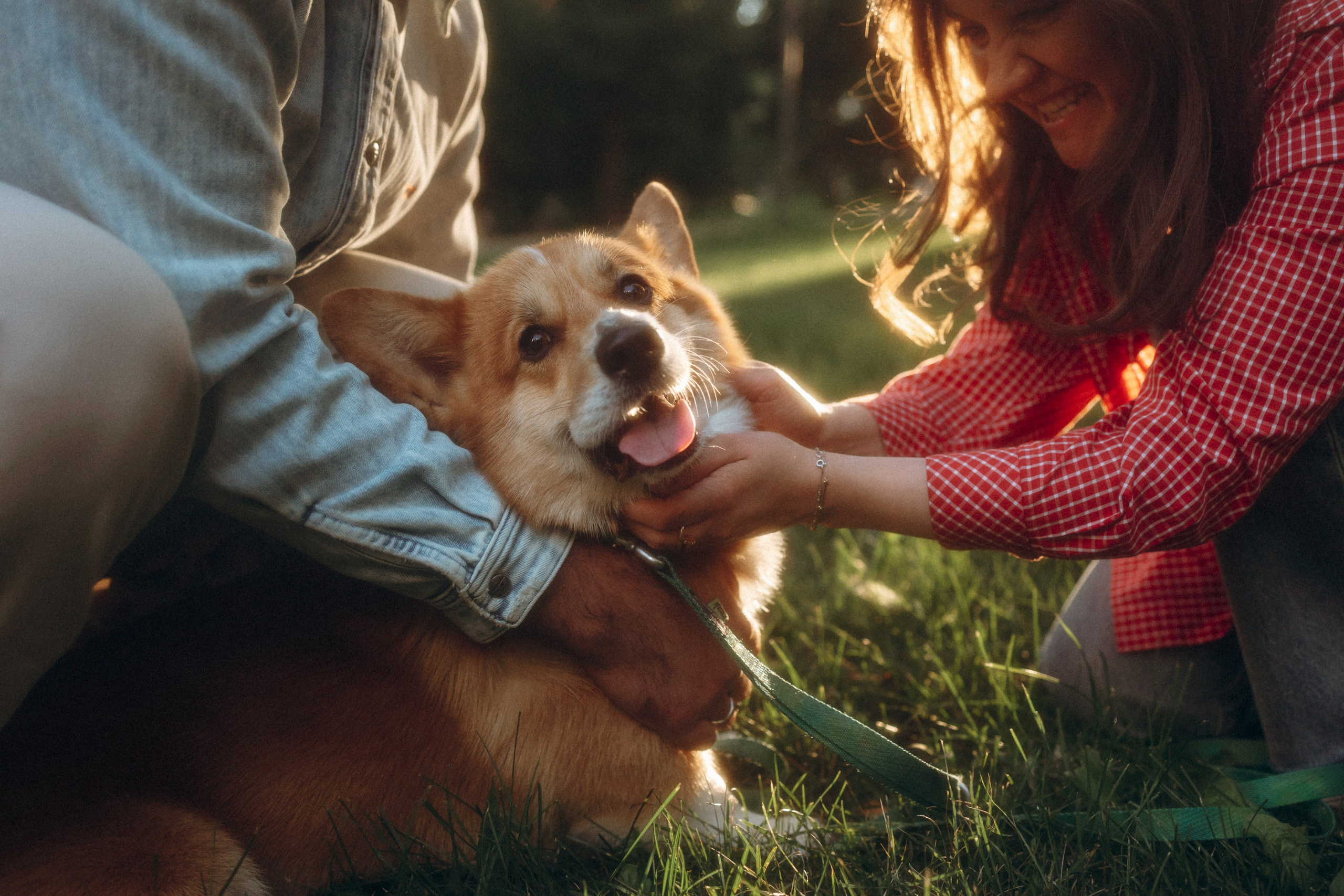 Момо, Люда и Эд. Фотограф анималист Анастасия Пикей