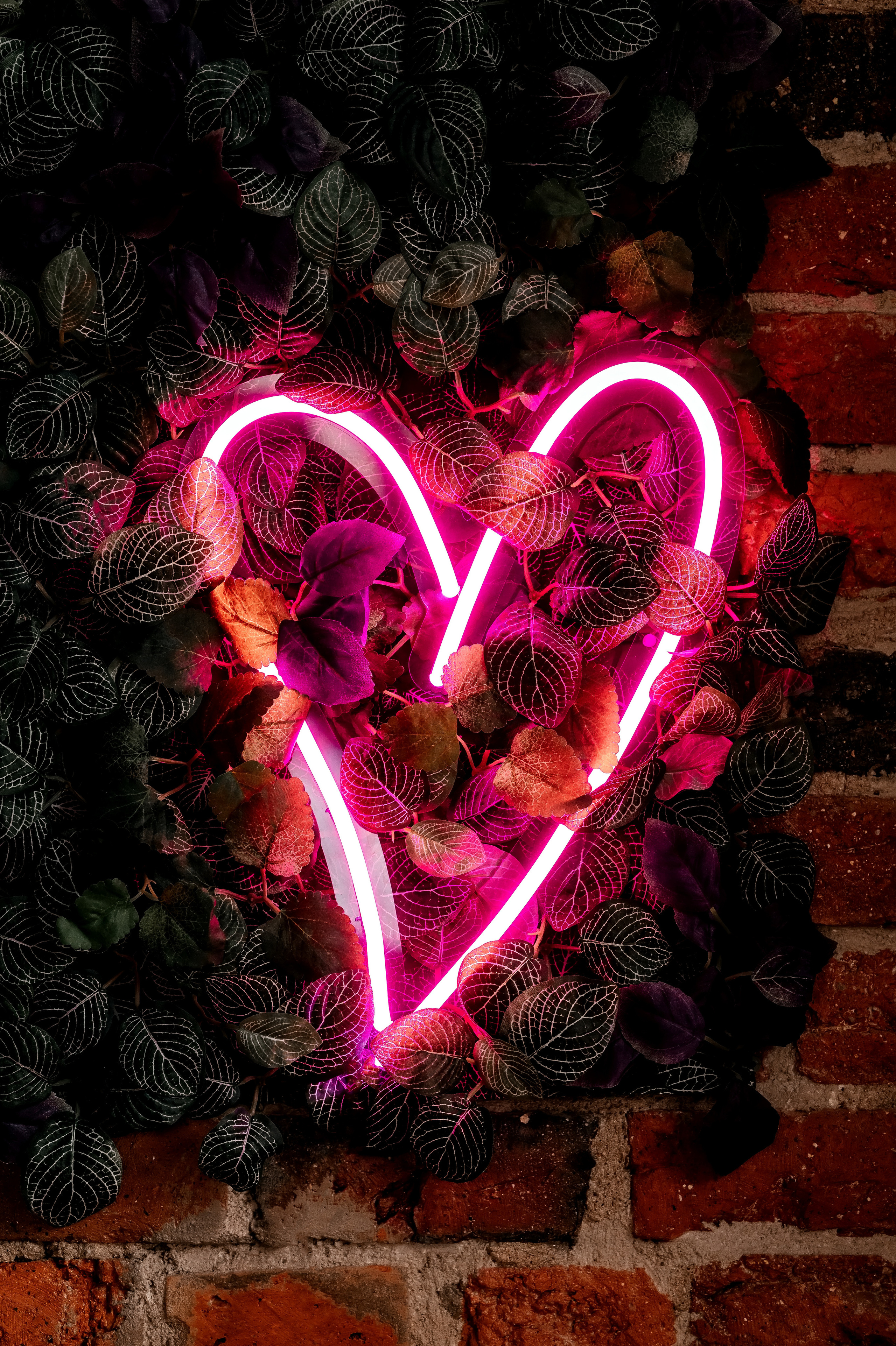 Александр + Анна, Щелково. Свадебный и семейный фотограф Виктория Носачёва. Щелково, Москва и МО