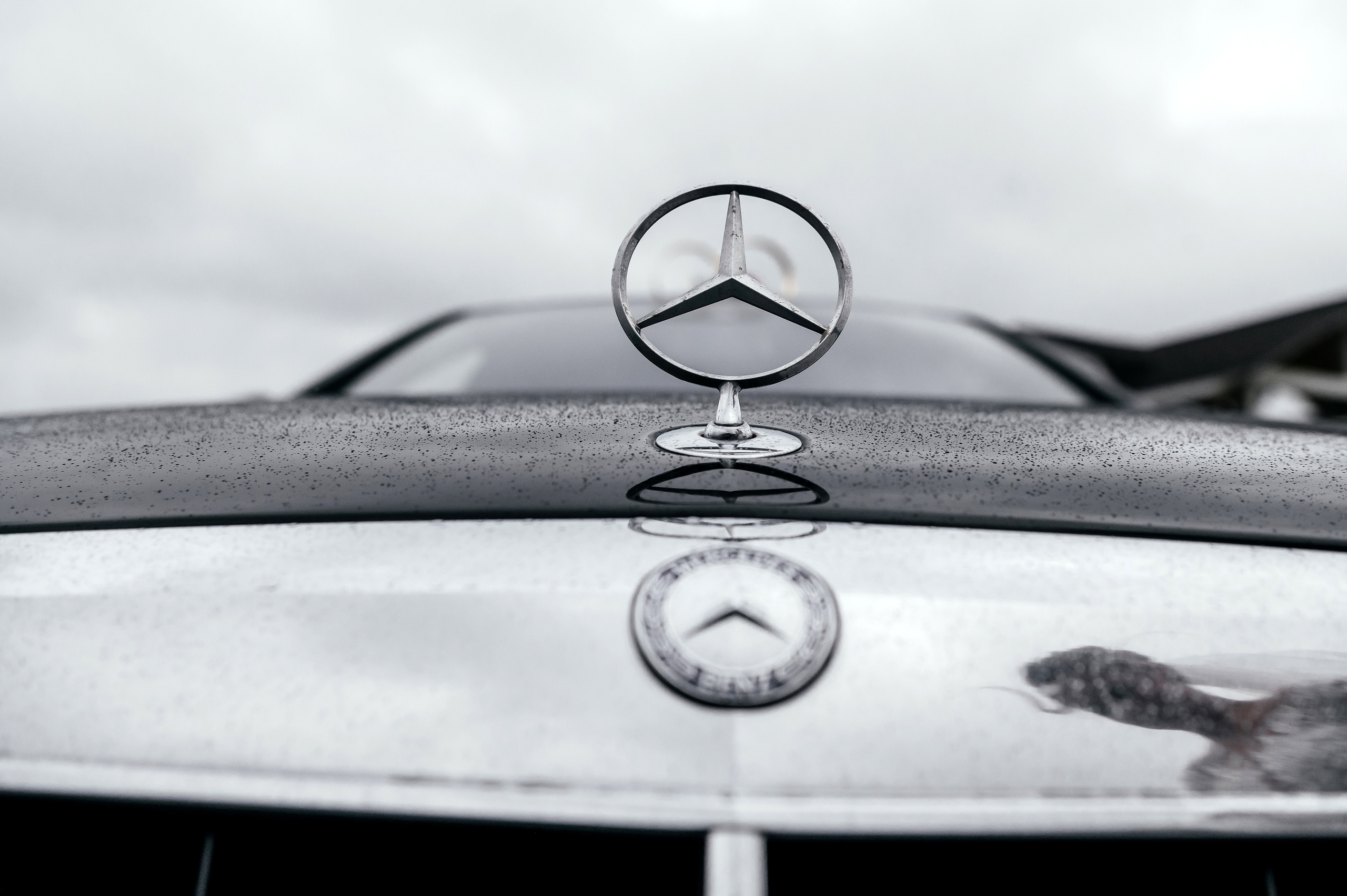 КСК Ивановское, которое стало Horseka resort. Свадьба. Свадебный и семейный фотограф Виктория Носачёва. Щелково, Москва и МО