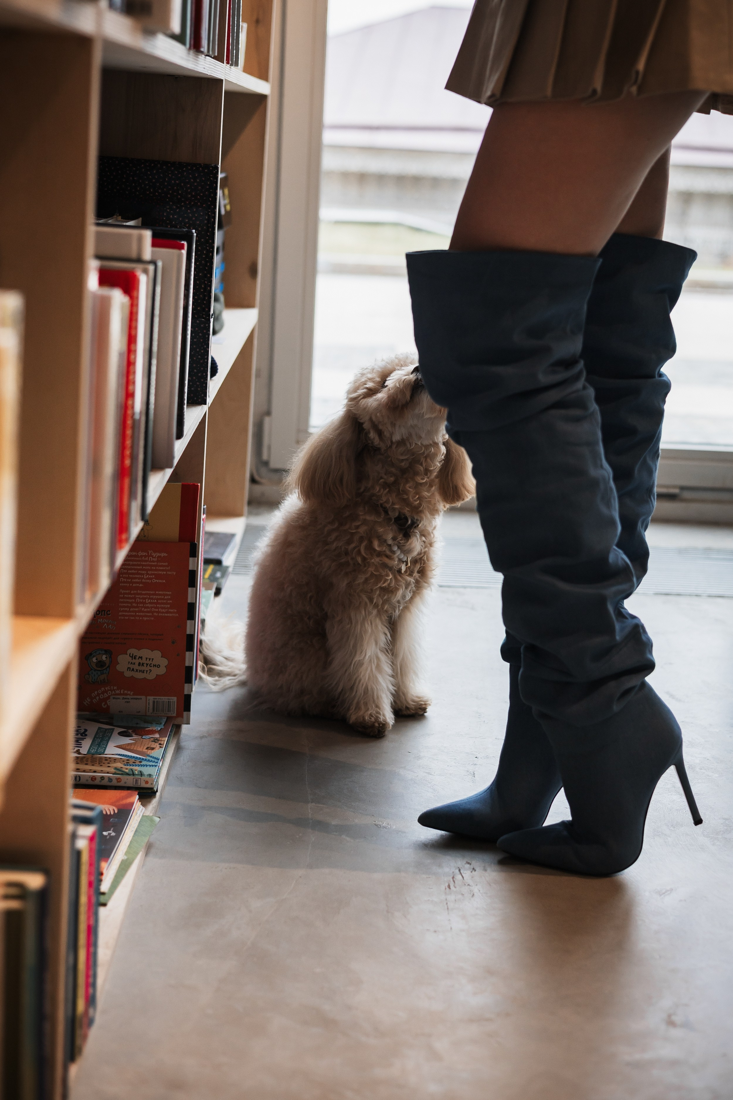 Алина — прогулка