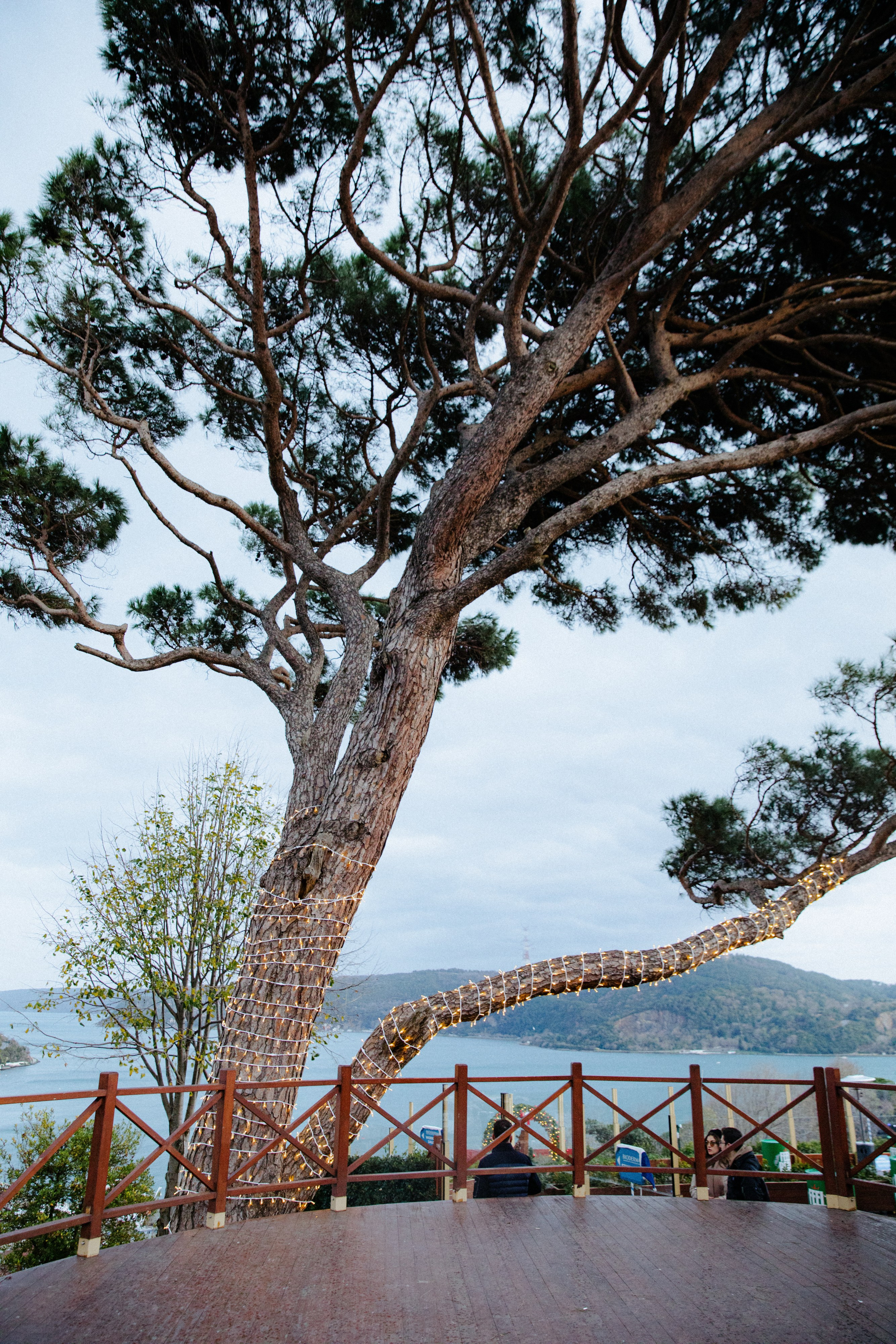 Christmas Market Istanbul. Свадебный и репортажный фотограф