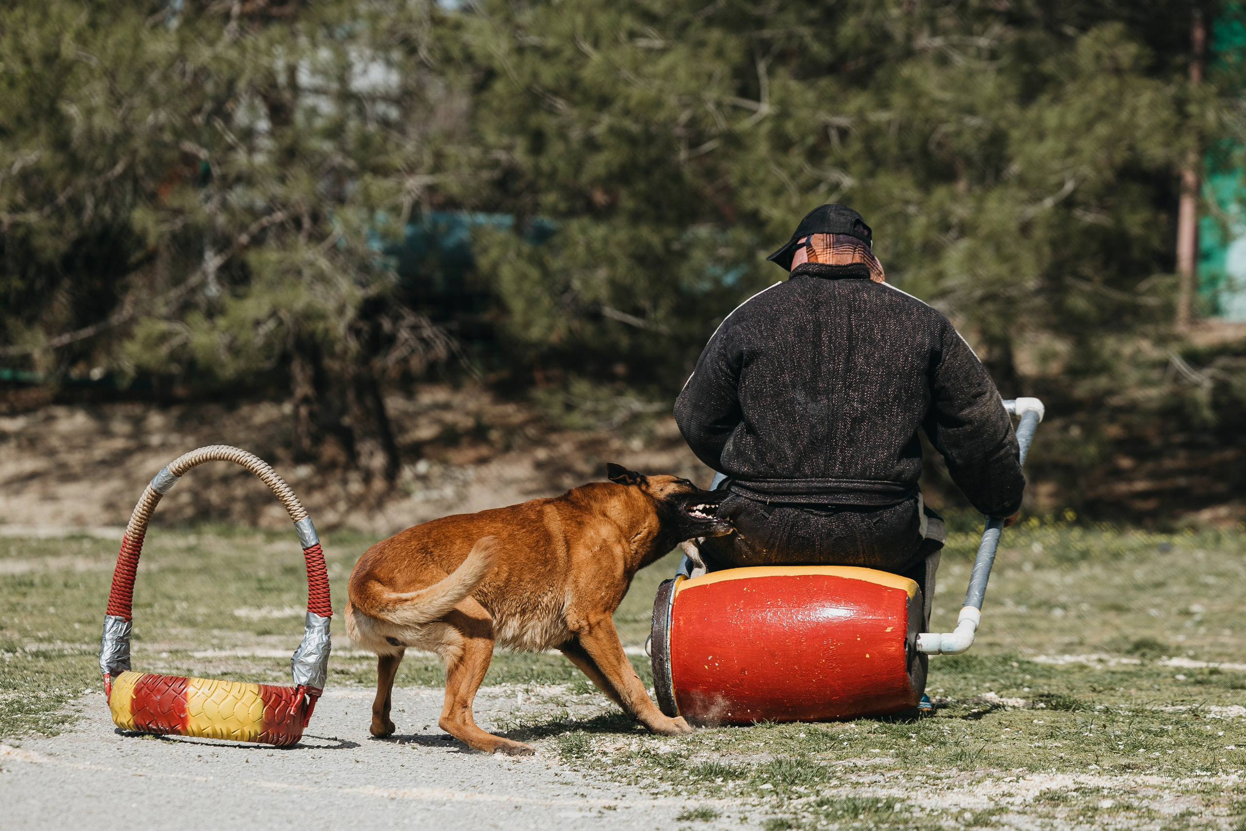 Геленджик Мондьоринг. Фотограф-анималист Анна Маринич