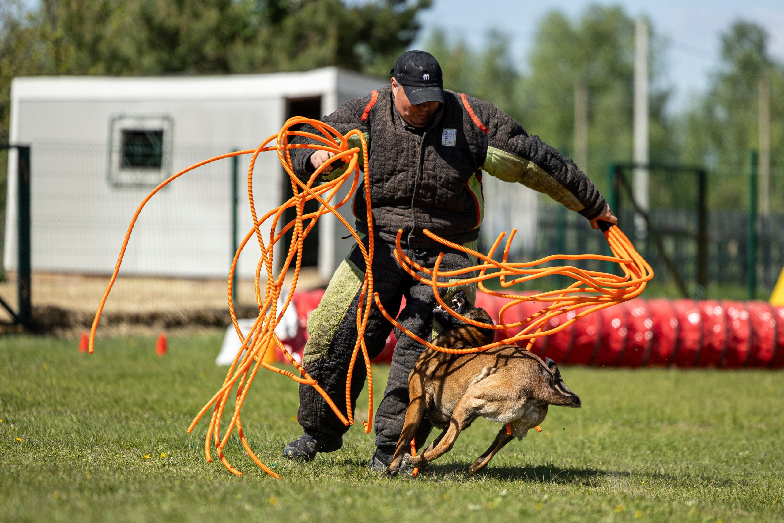 Испытания по мондьорингу в Нижнем Новгороде. Фотограф-анималист Анна Маринич