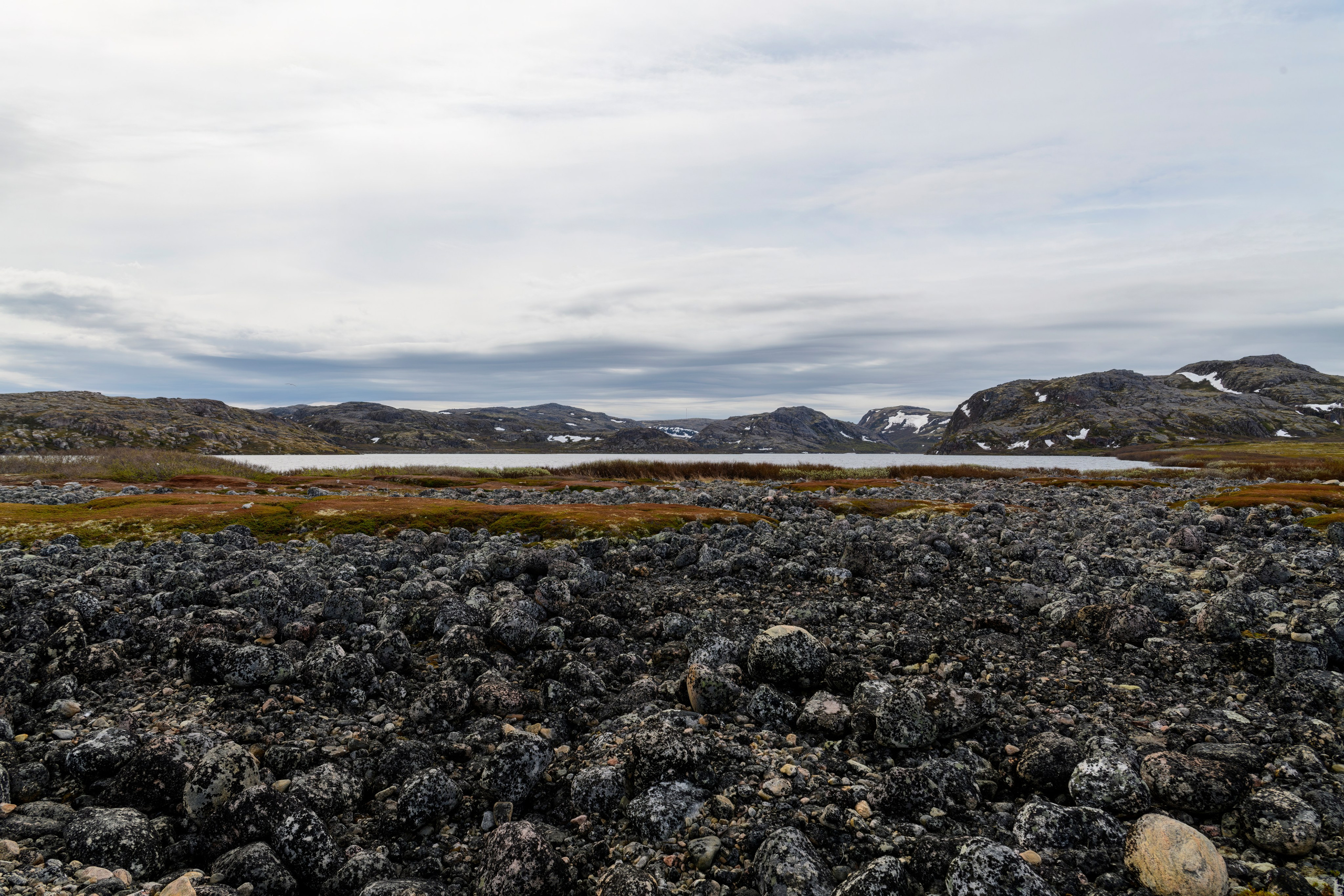 Мурманская область. Июнь 2024. Фотограф Сергей Пупонин