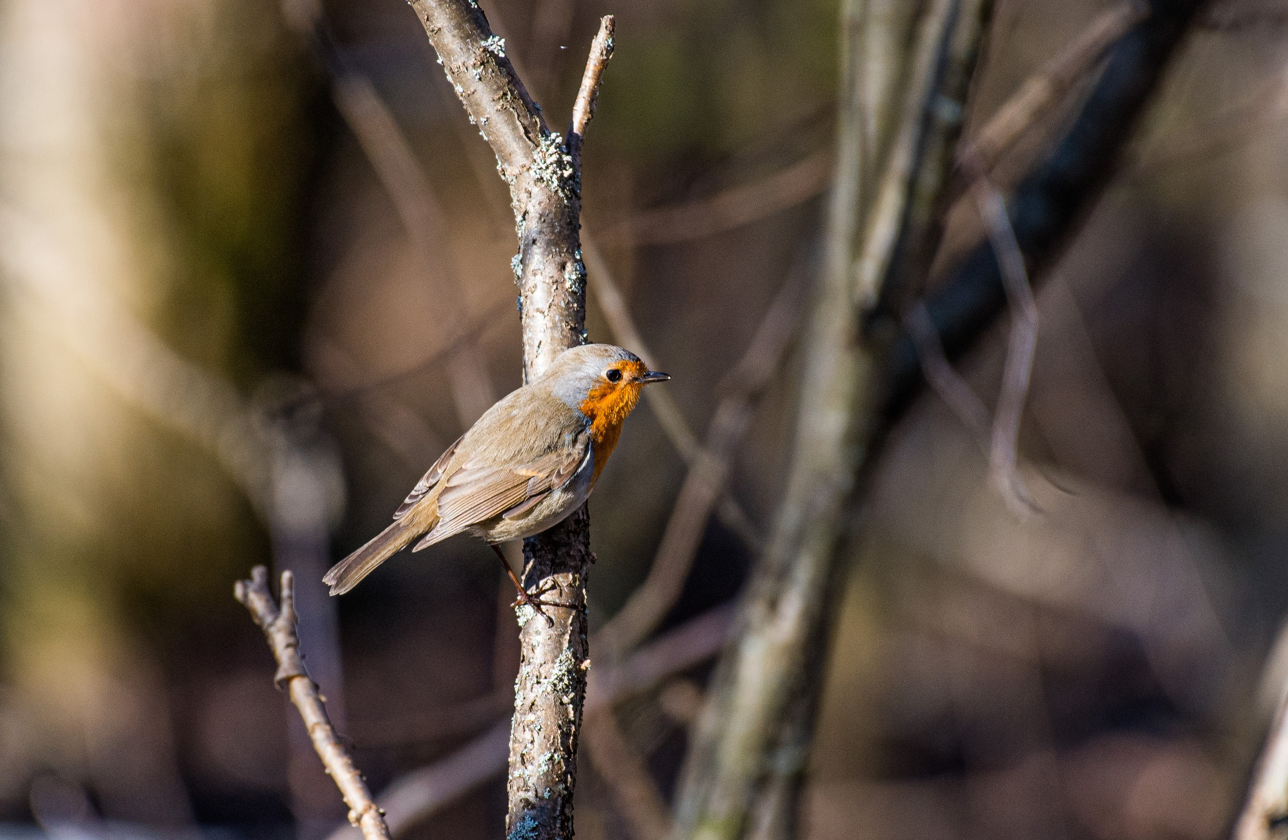 Фотоохота. Репортажный фотограф в Ижевске Константин Ившин